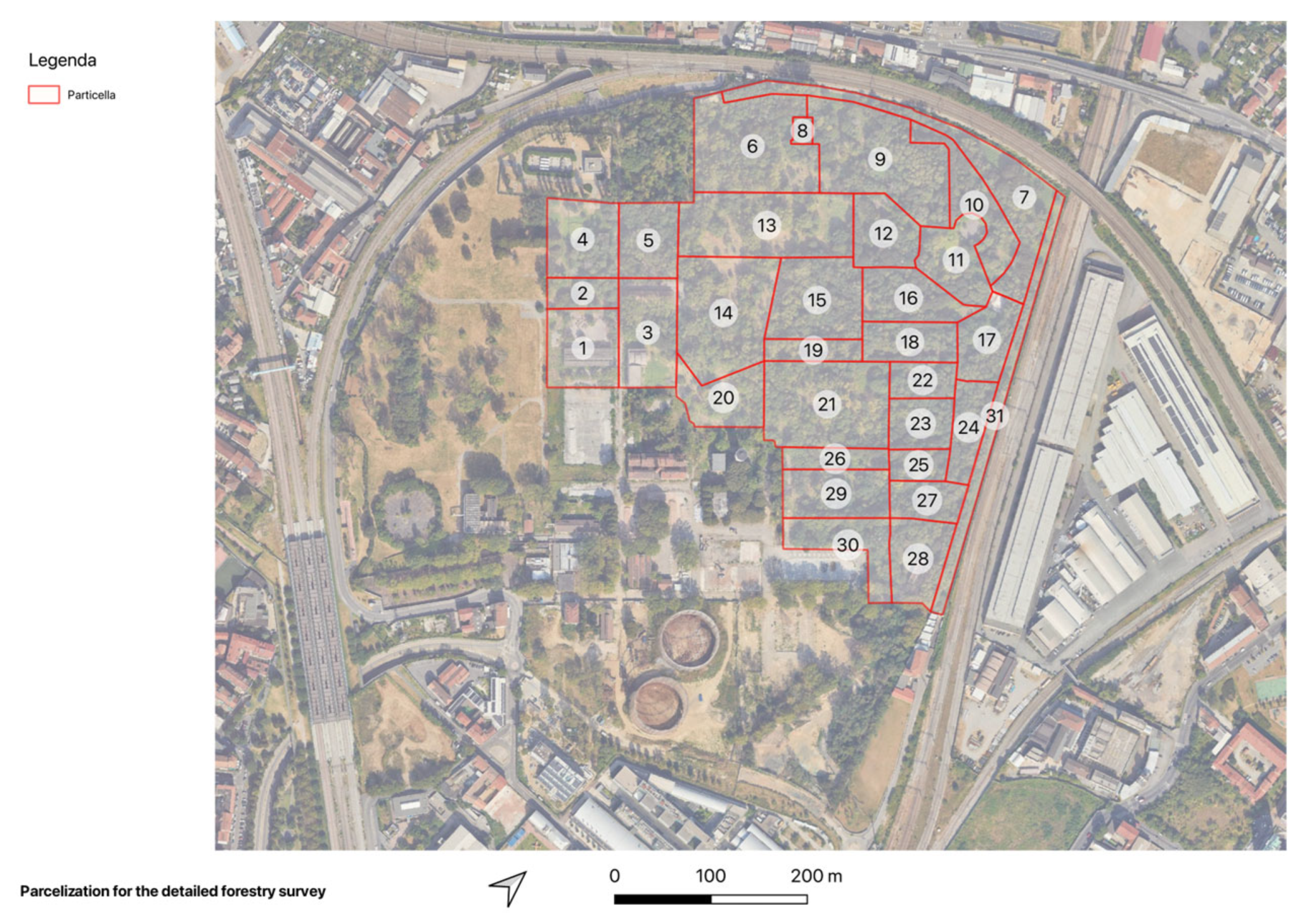 Forests 16 01410 g004