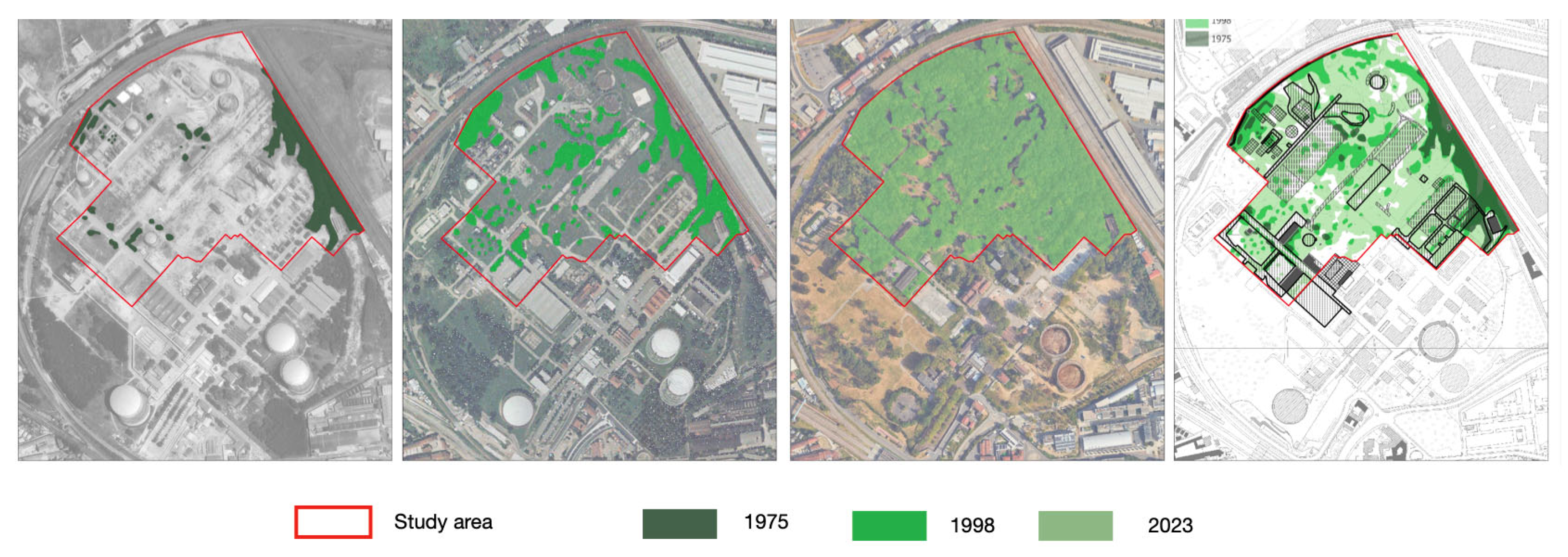 Forests 16 01410 g006