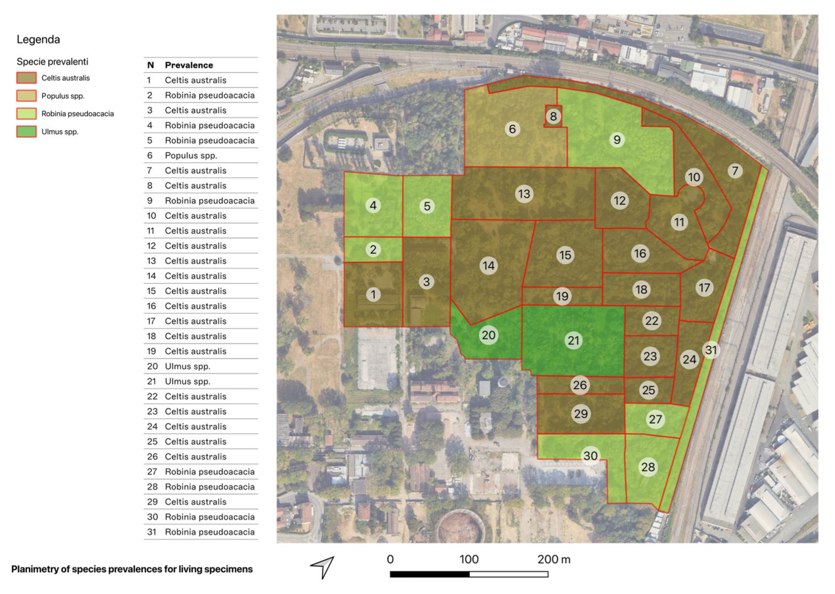 Forests 16 01410 g009