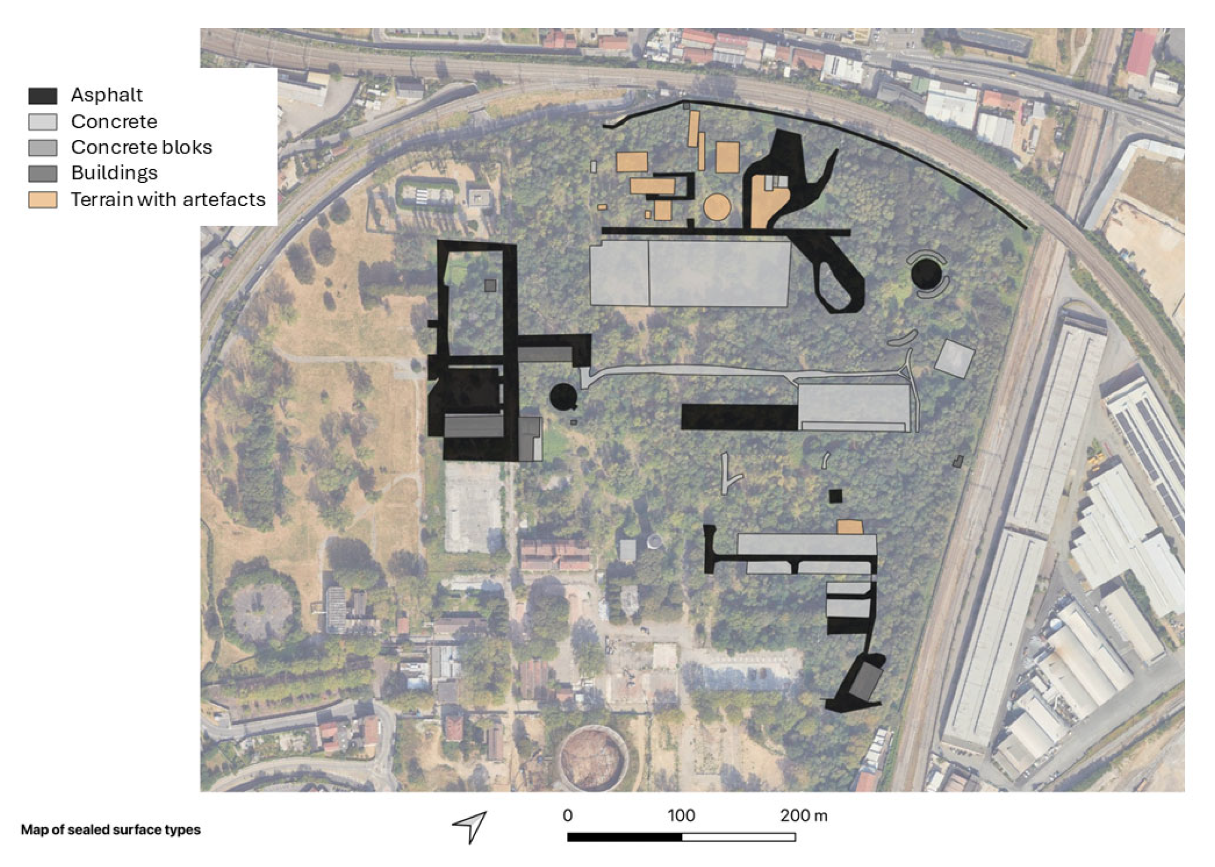 Forests 16 01410 g012