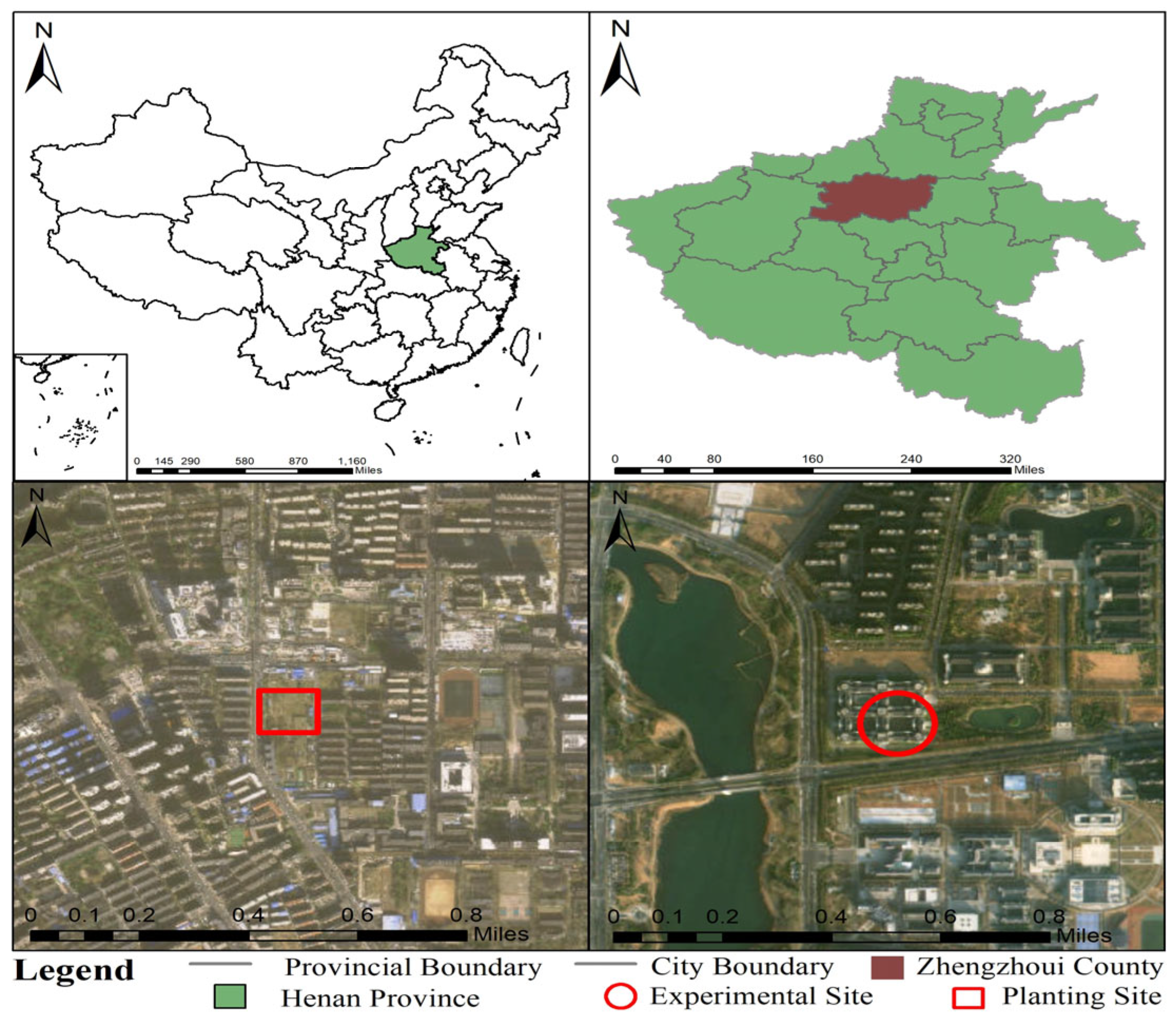 Forests 16 01411 g001 Forests 16 01411 g001
