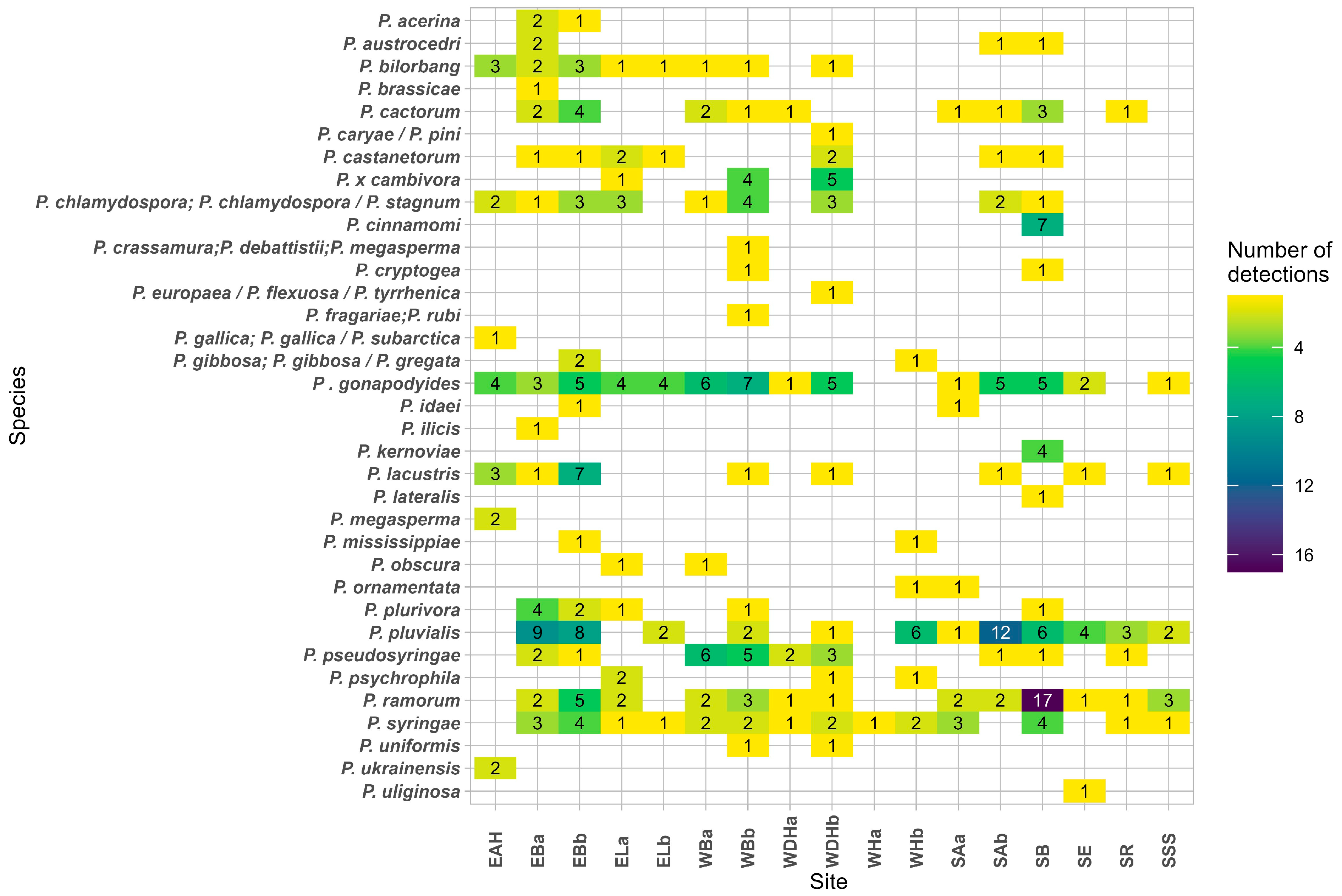 Forests 16 01419 g005 Forests 16 01419 g005