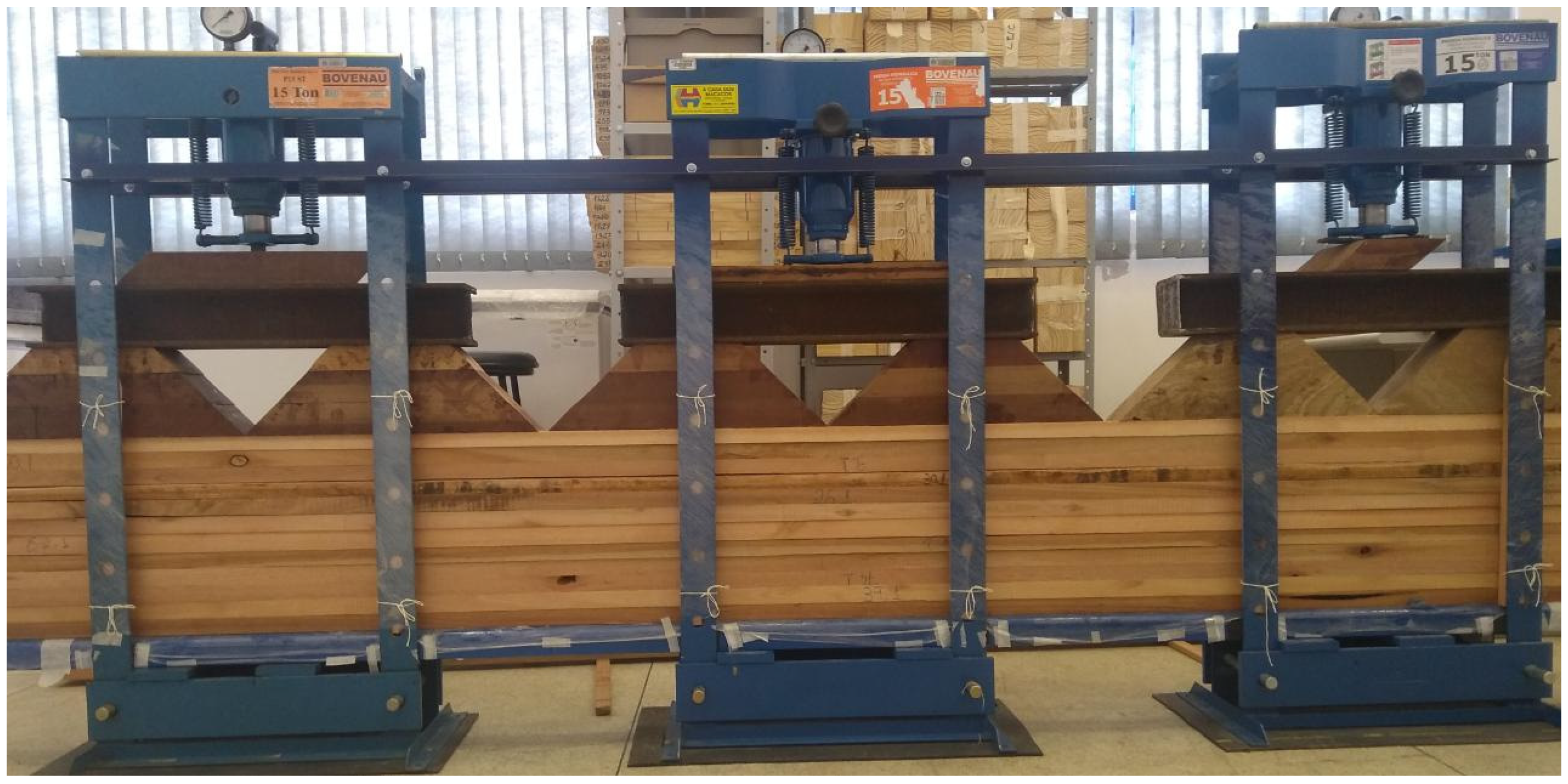 Forests 16 01421 g001 Forests 16 01421 g001