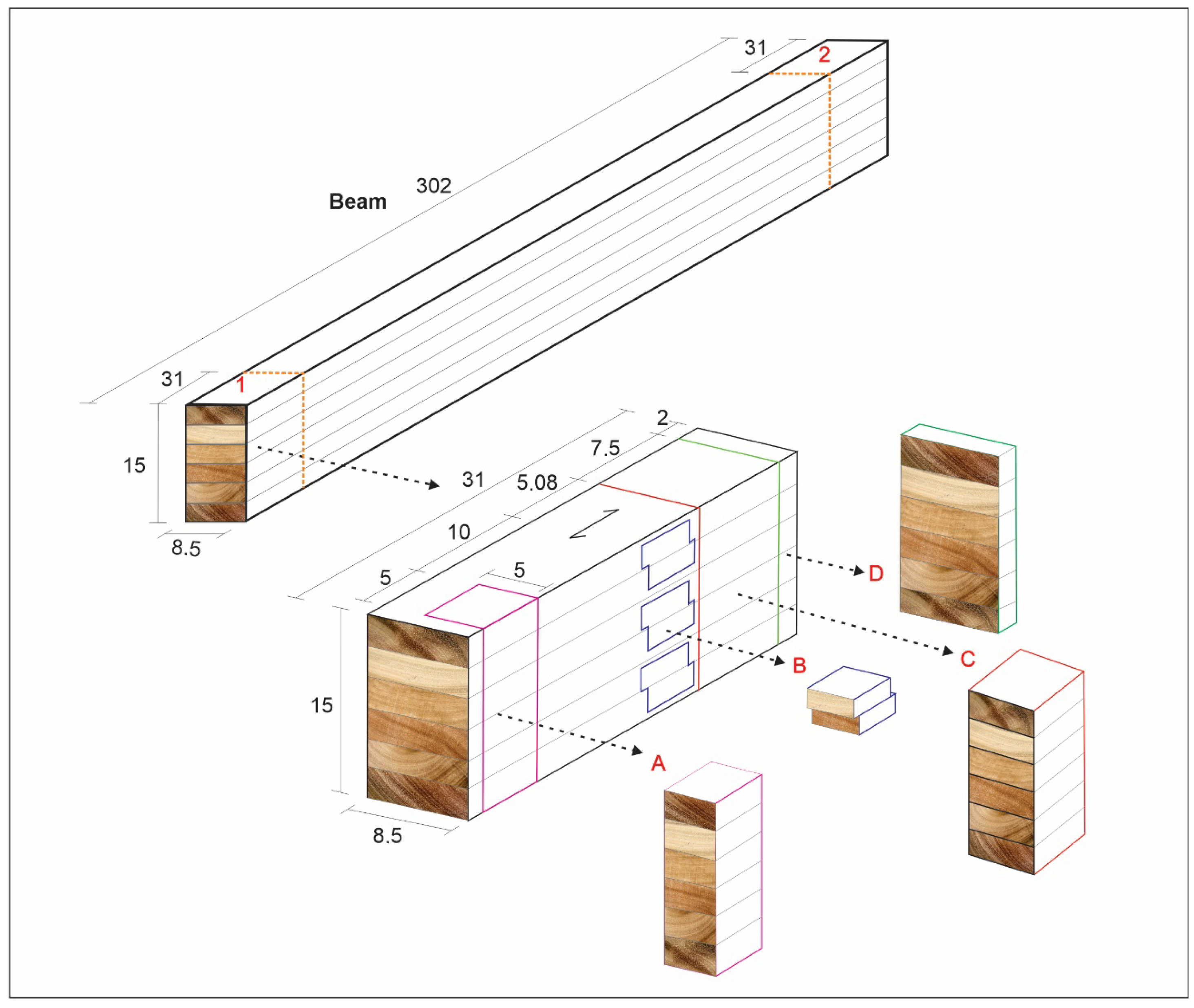 Forests 16 01421 g002 Forests 16 01421 g002