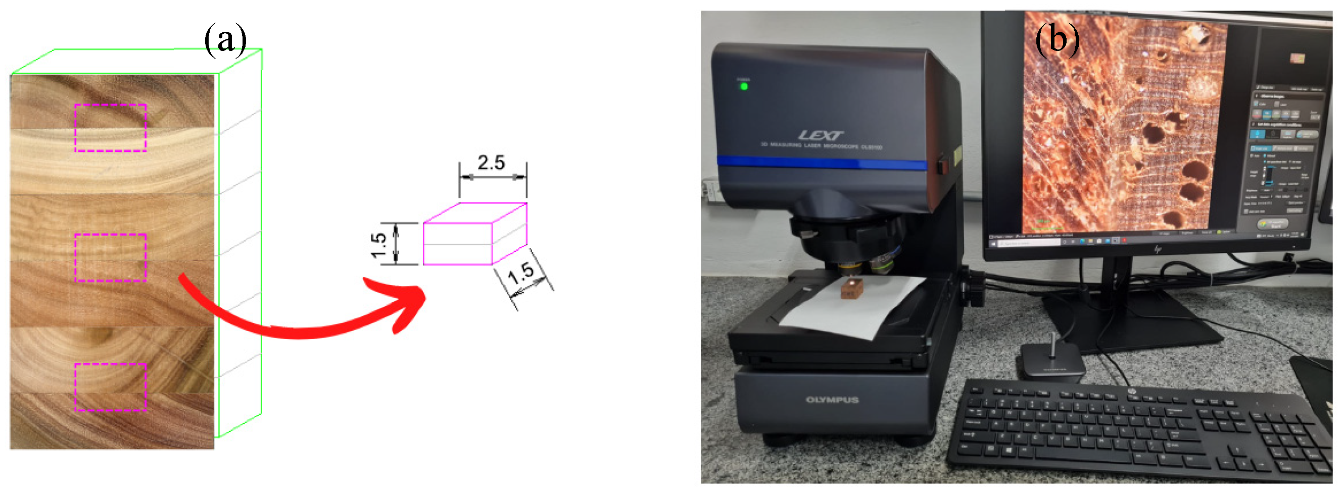Forests 16 01421 g003 Forests 16 01421 g003