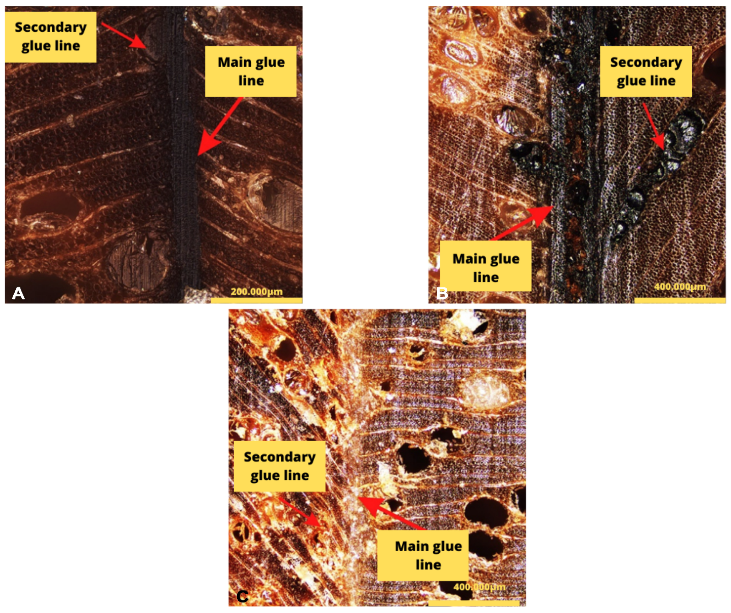 Forests 16 01421 g006 Forests 16 01421 g006