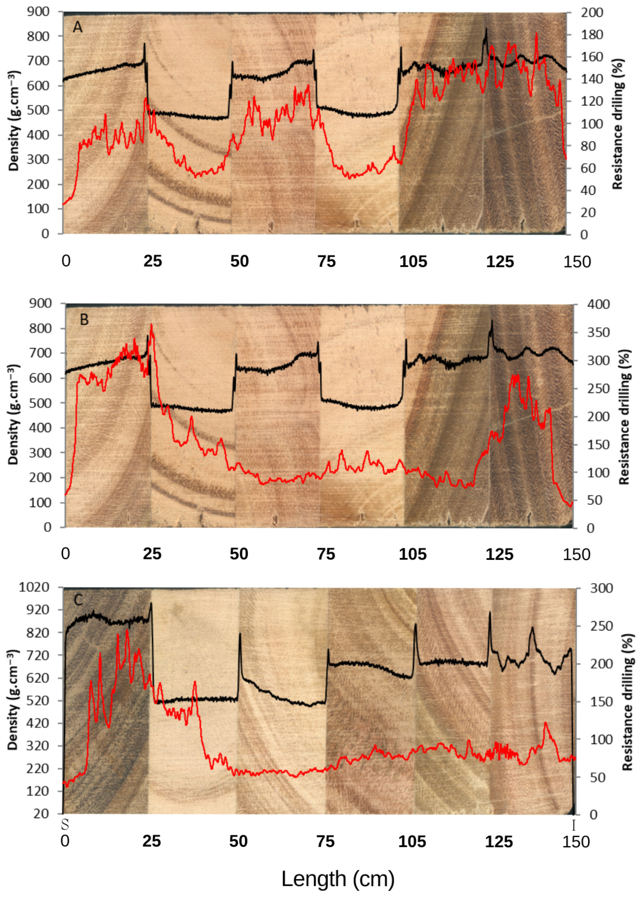 Forests 16 01421 g007 Forests 16 01421 g007