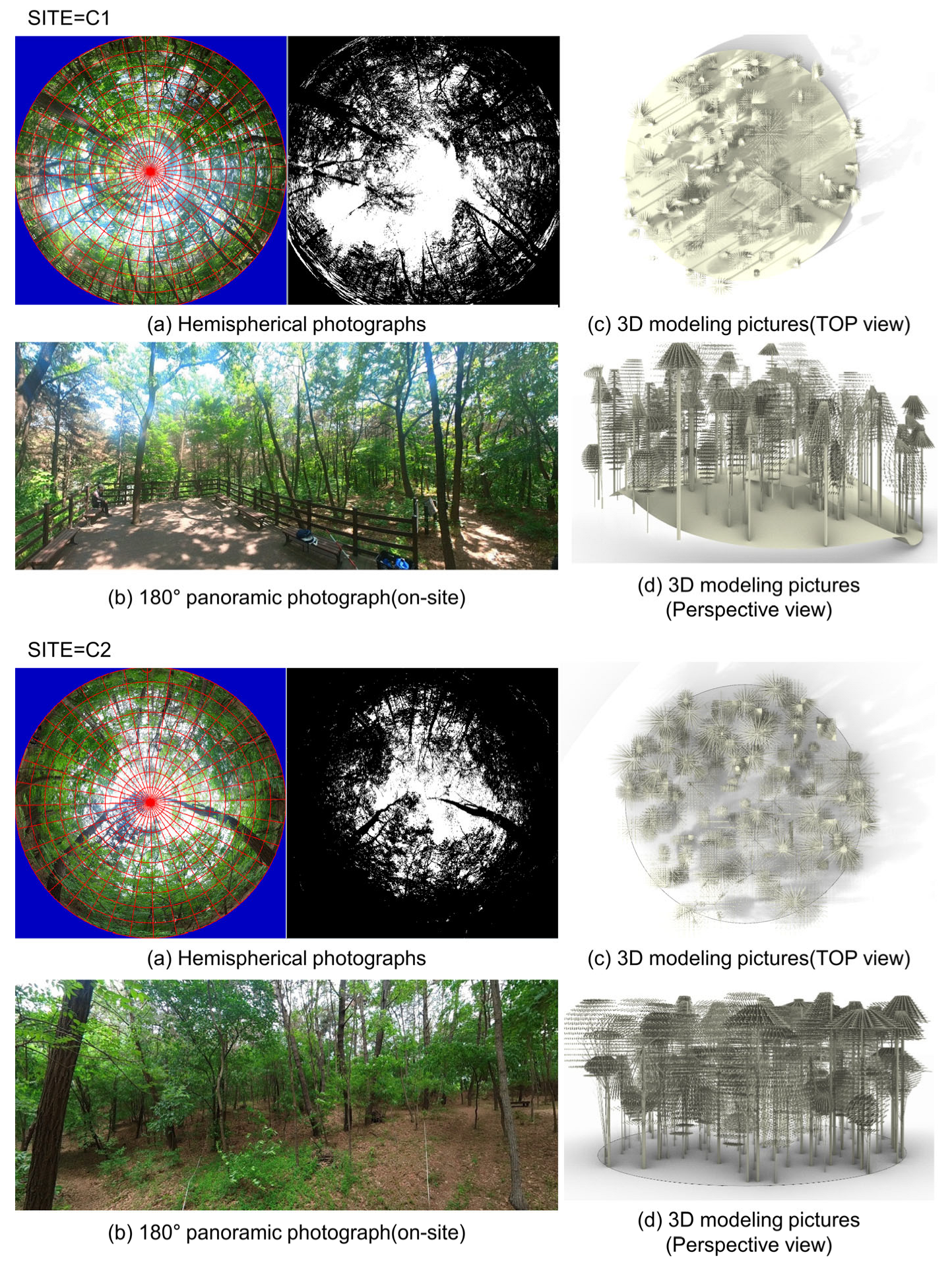 Forests 16 01424 g001 Forests 16 01424 g001