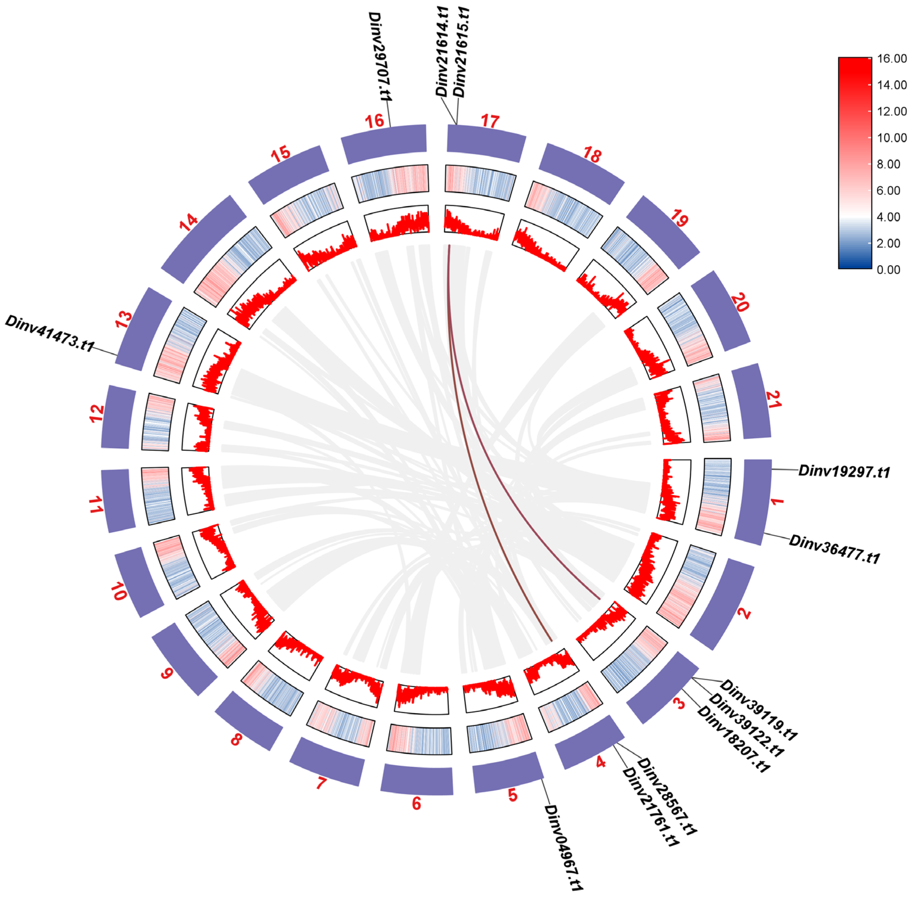 Forests 16 01425 g004 Forests 16 01425 g004