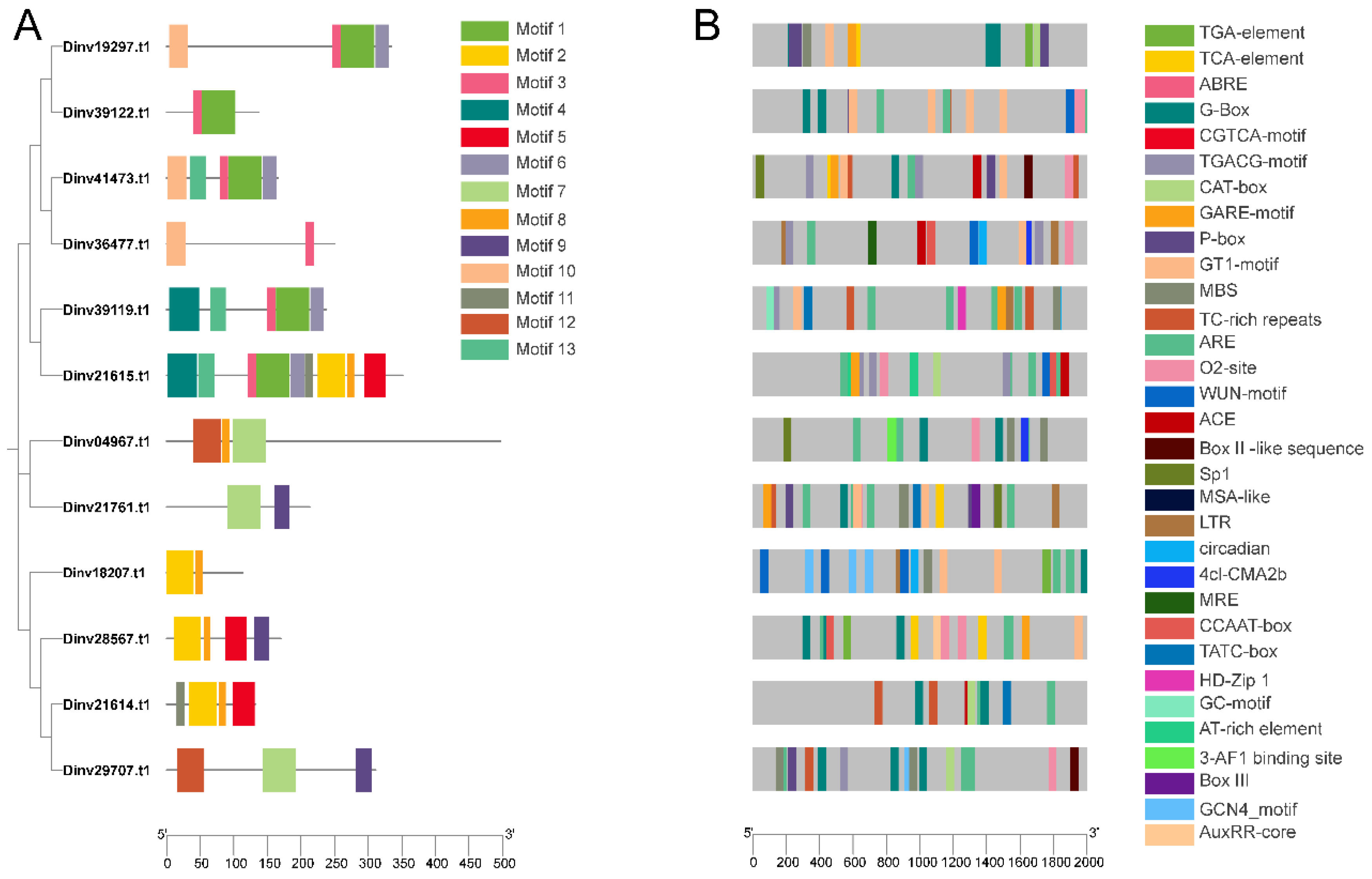 Forests 16 01425 g005 Forests 16 01425 g005