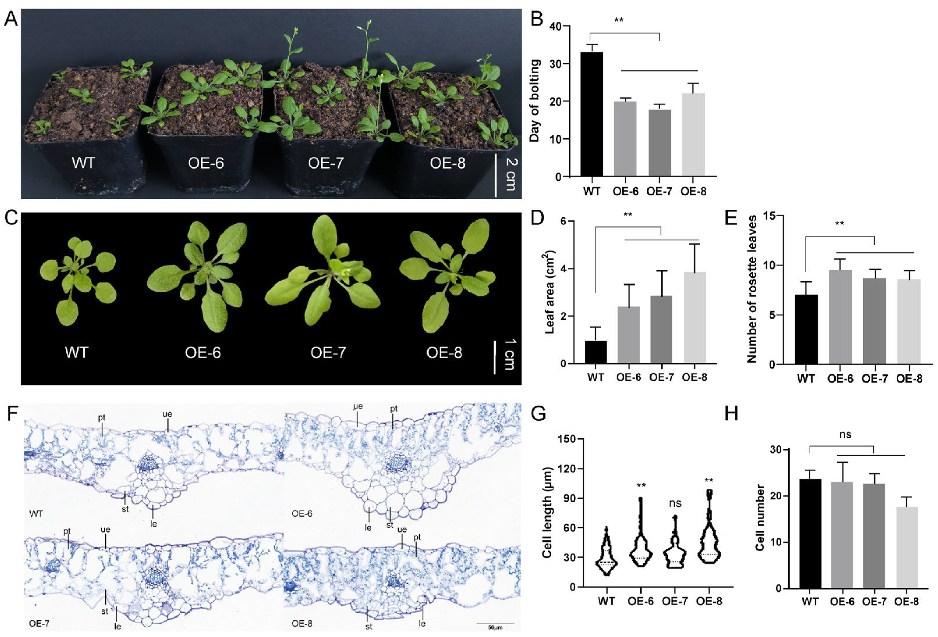 Forests 16 01425 g009 Forests 16 01425 g009