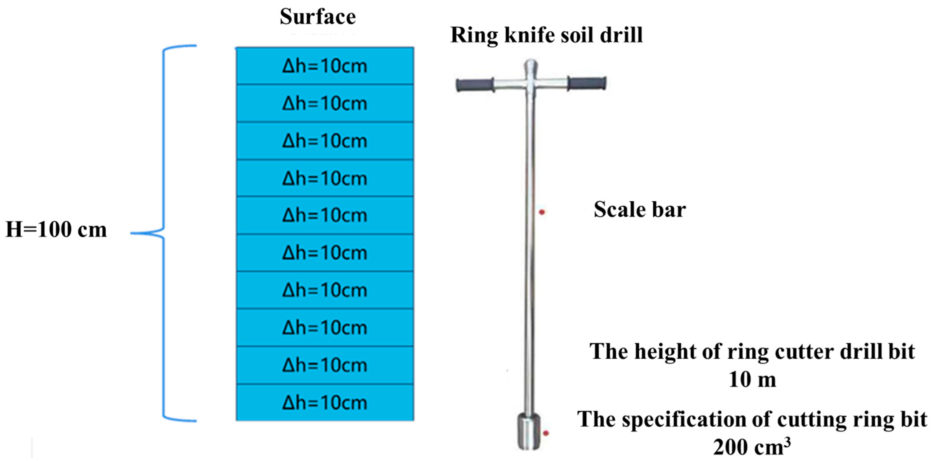 Forests 16 01432 g002 Forests 16 01432 g002