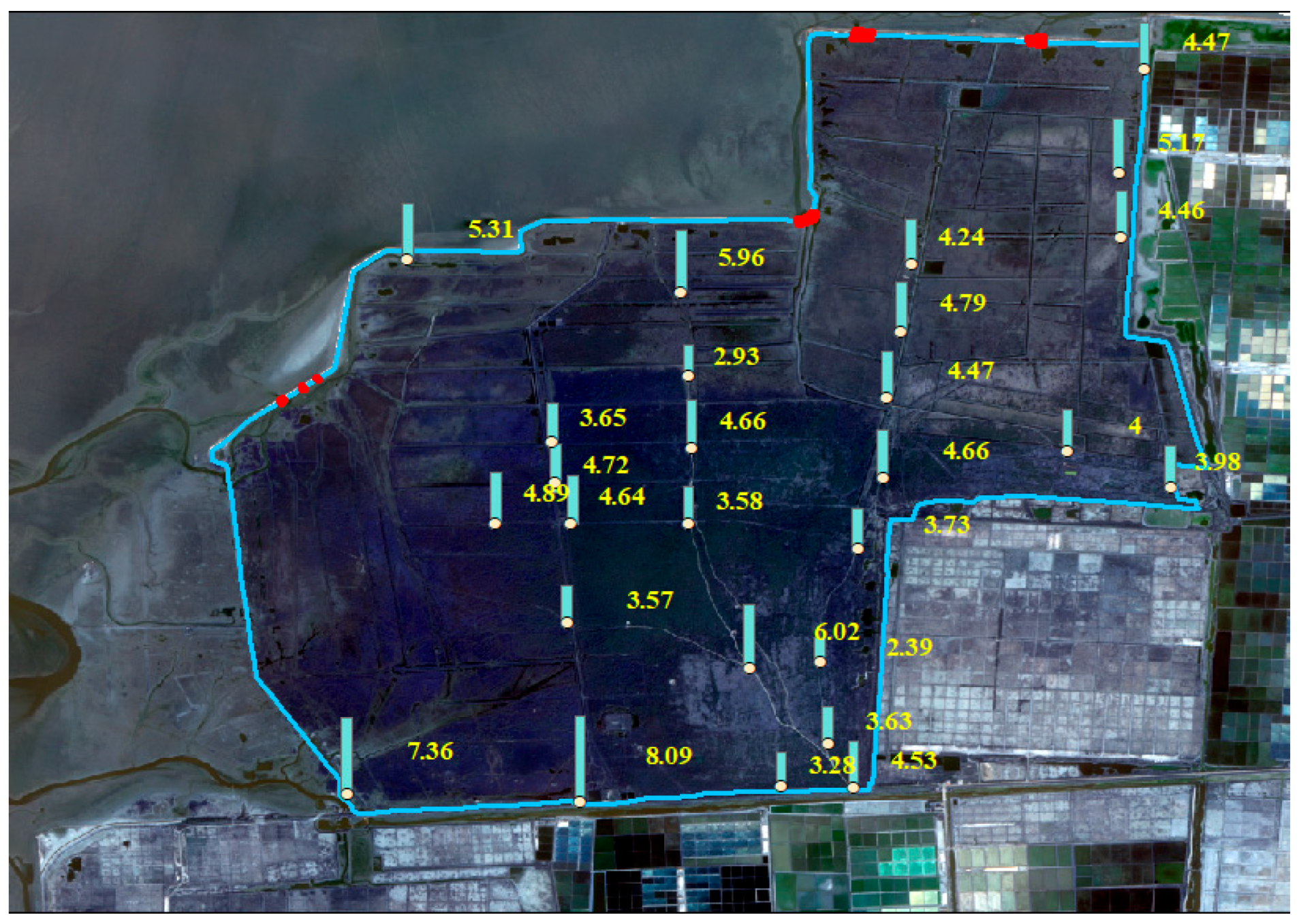 Forests 16 01432 g004 Forests 16 01432 g004