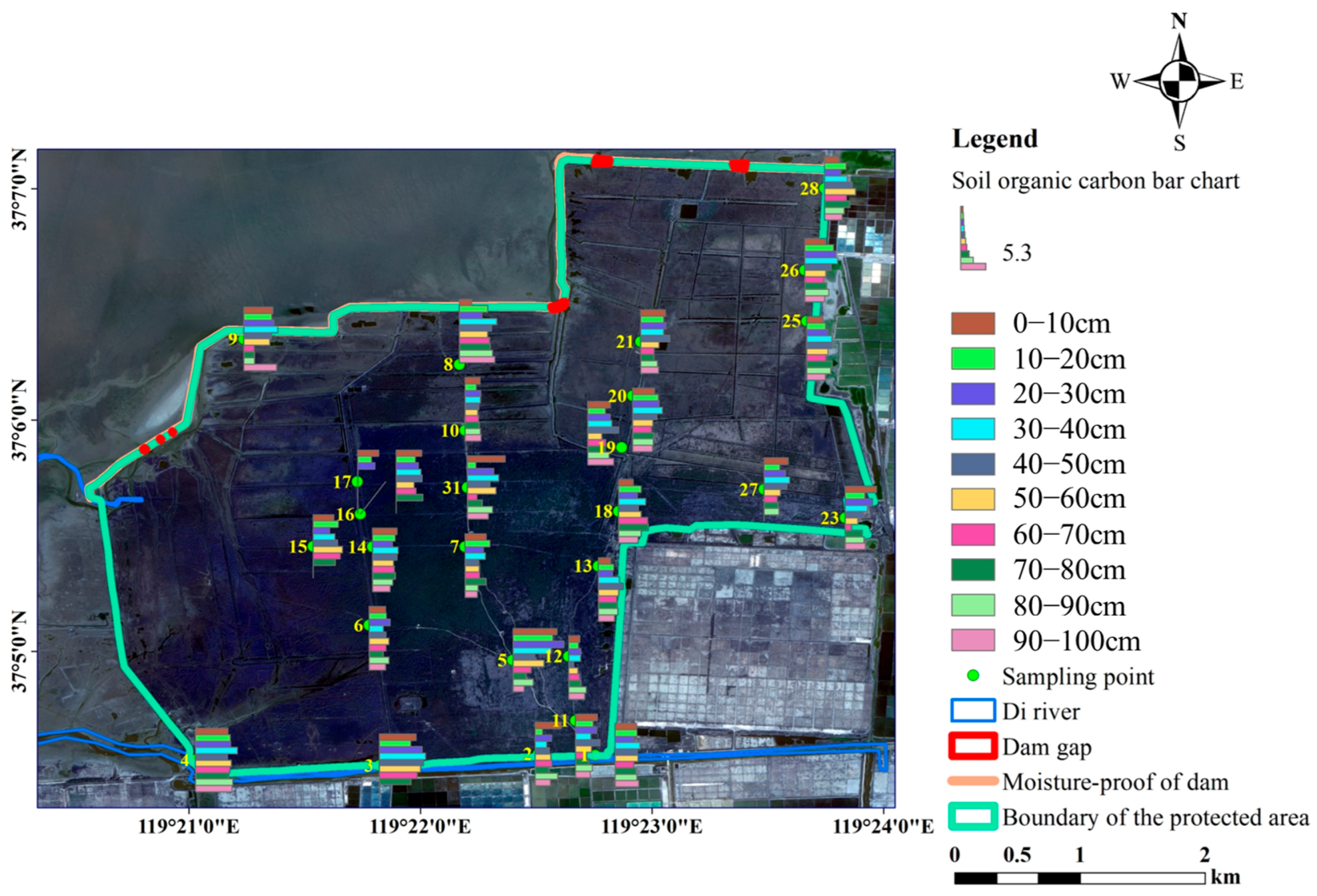Forests 16 01432 g007 Forests 16 01432 g007