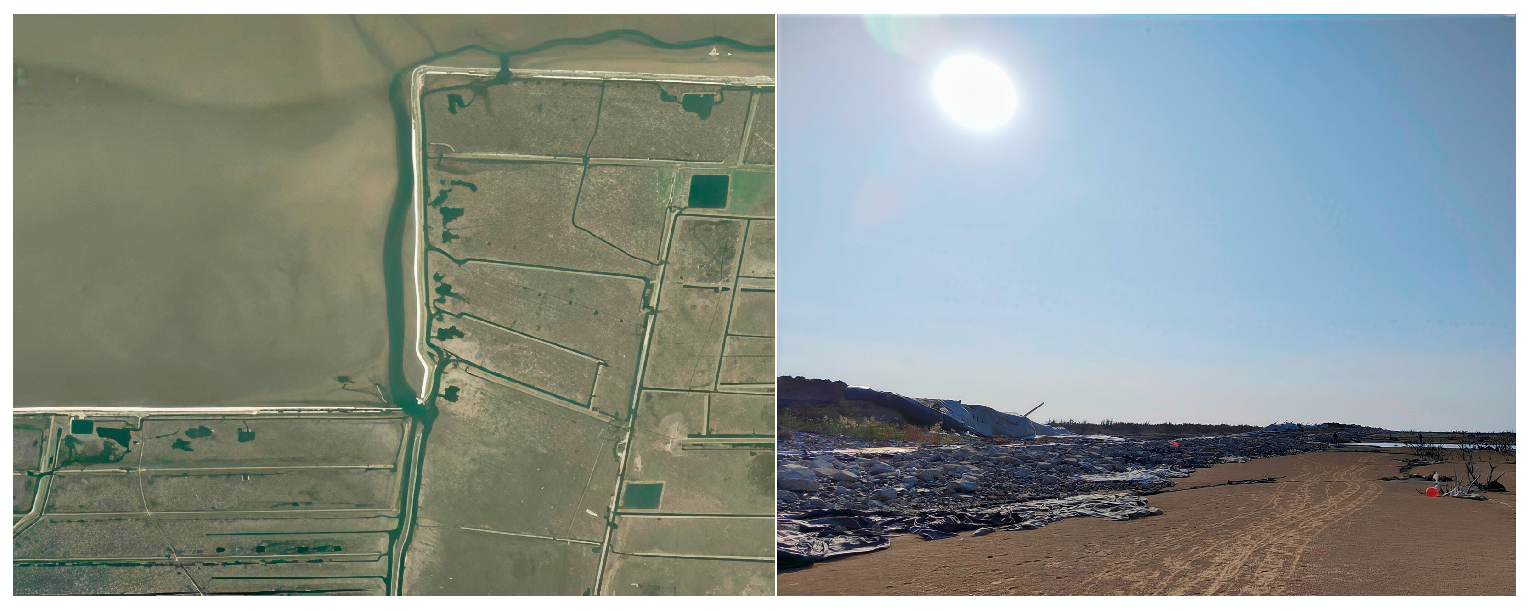 Forests 16 01432 g012 Forests 16 01432 g012