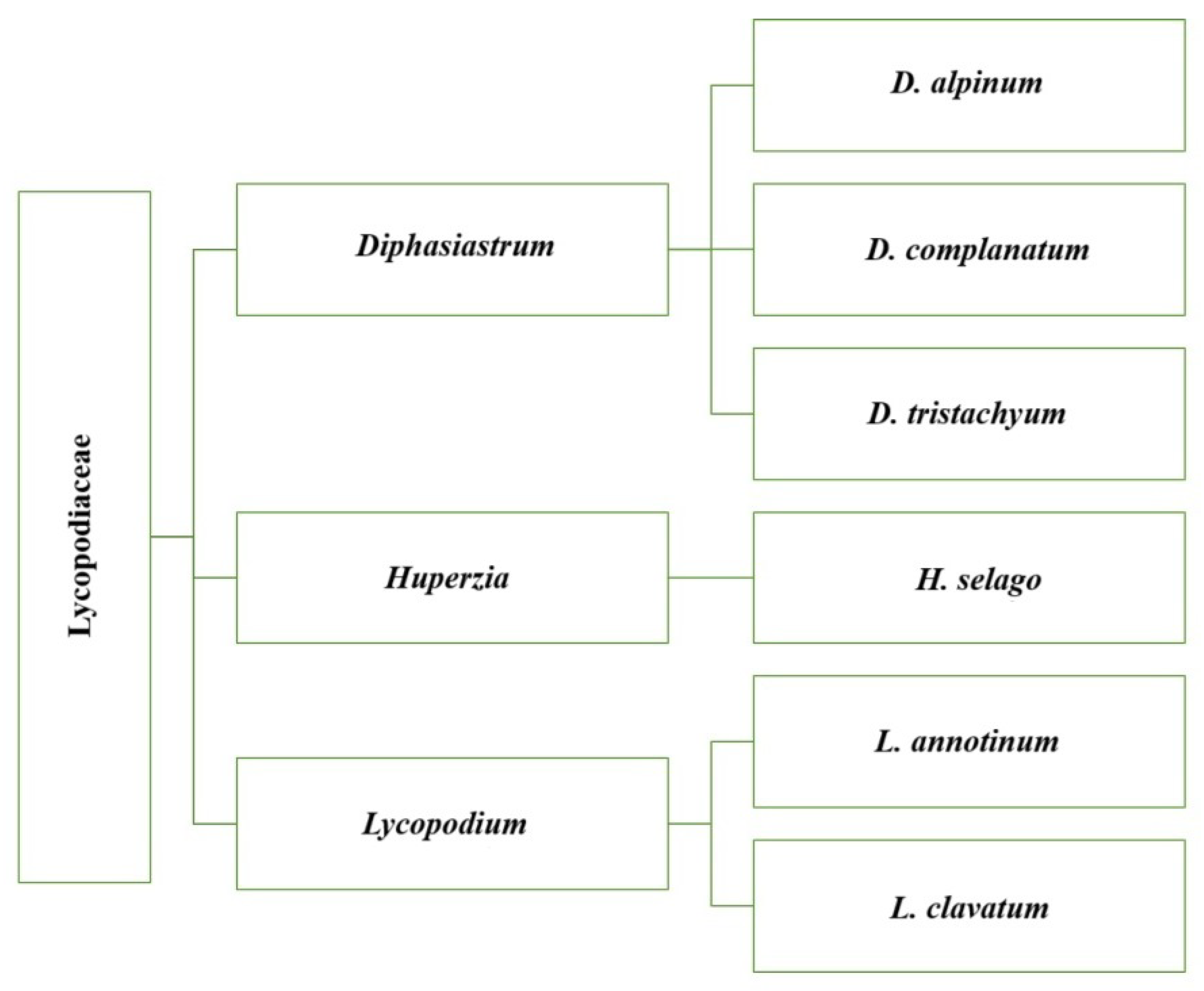 Forests 16 01437 g001