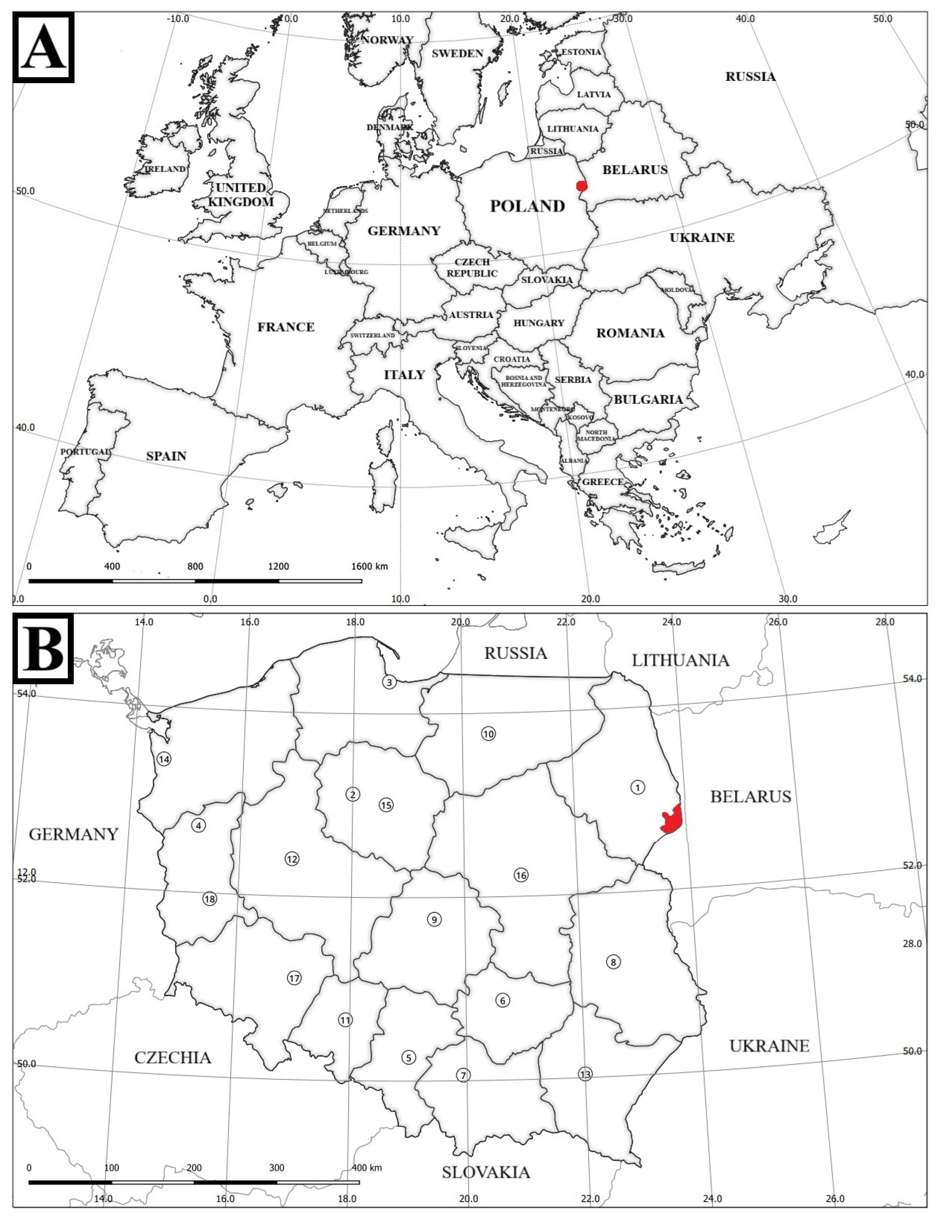 Forests 16 01437 g002