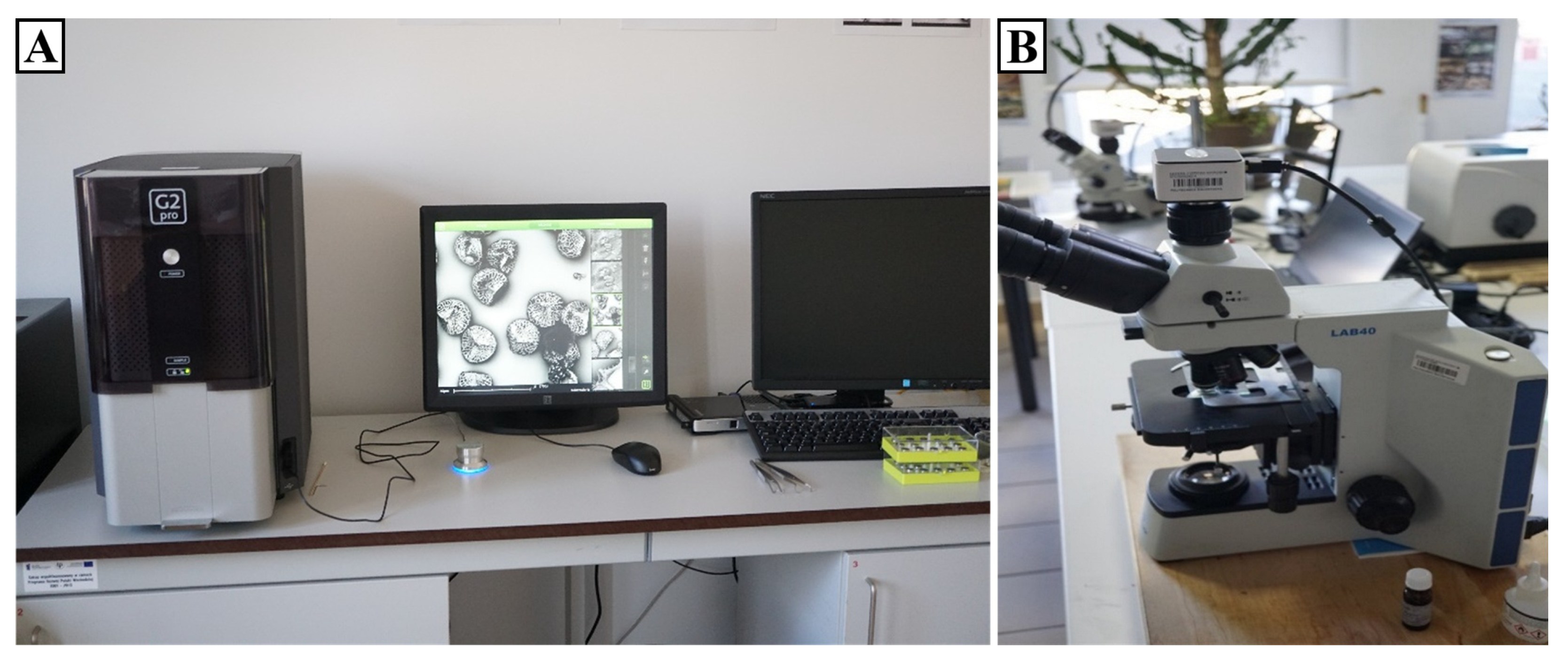 Forests 16 01437 g006