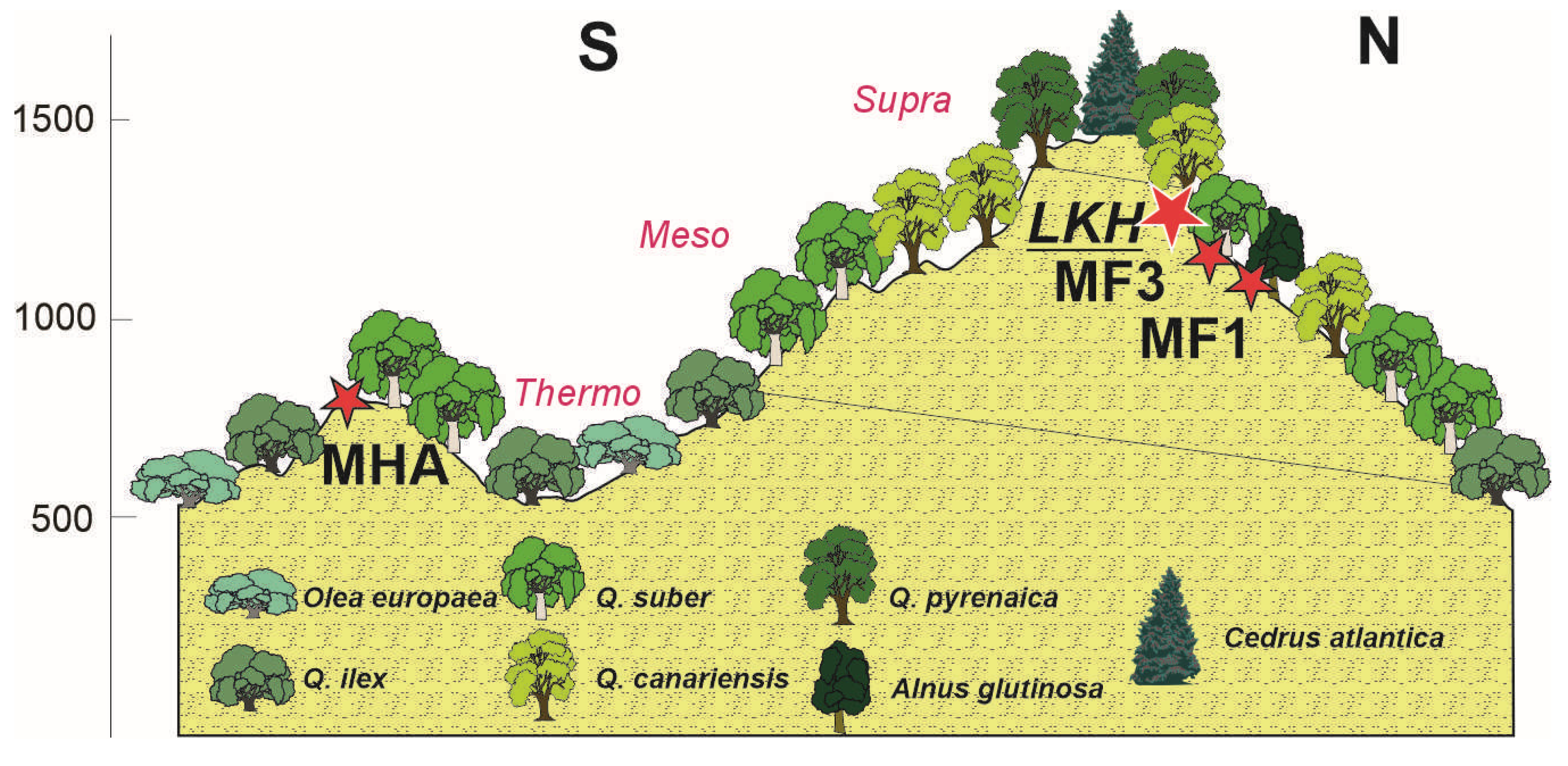 Forests 16 01441 g002 Forests 16 01441 g002