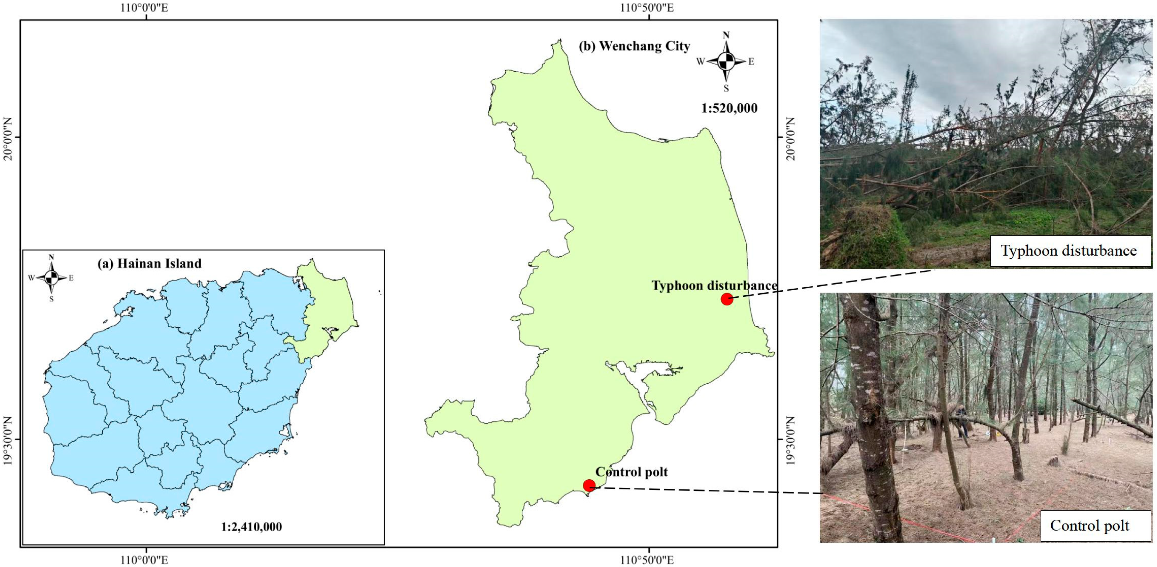Forests 16 01451 g001 Forests 16 01451 g001