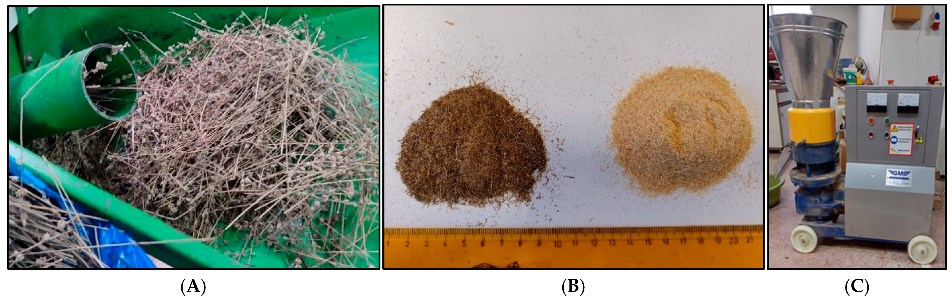 Forests 16 01455 g001