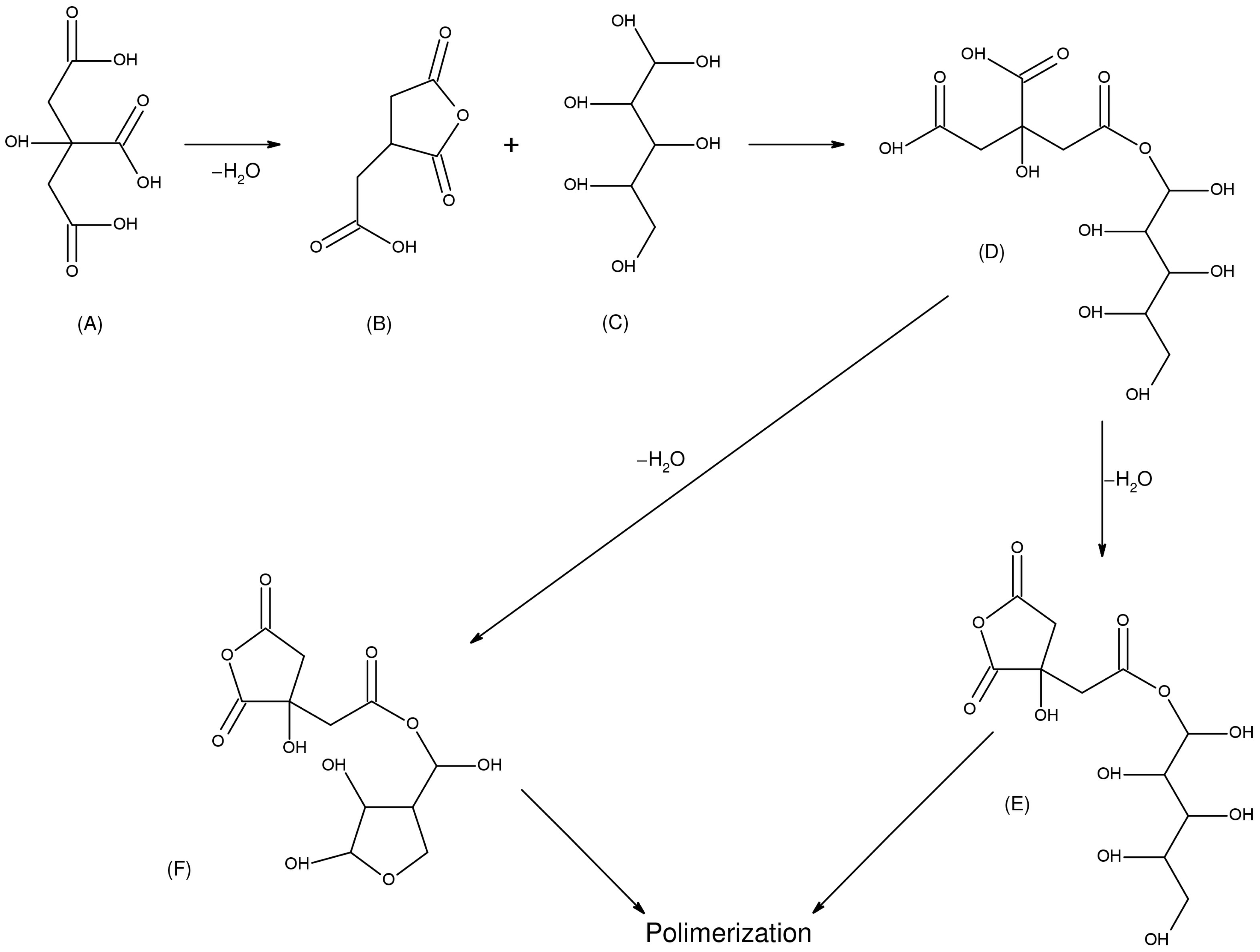 Forests 16 01463 g012 Forests 16 01463 g012