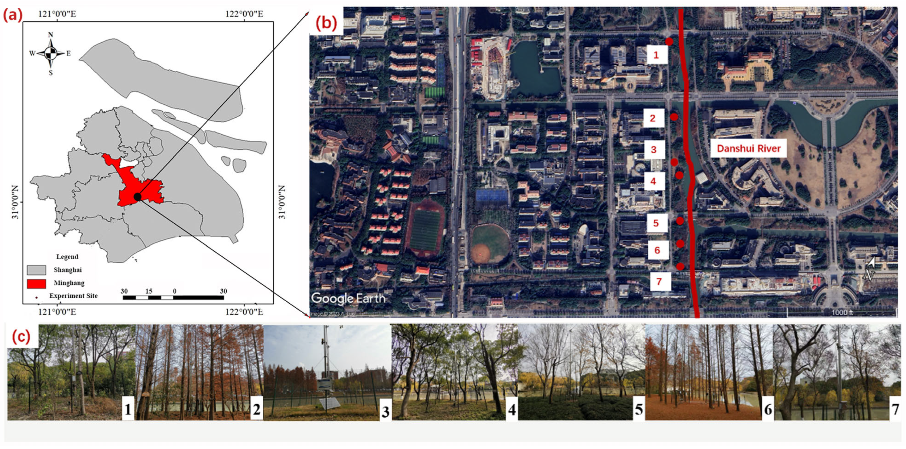 Forests 16 01466 g001 Forests 16 01466 g001