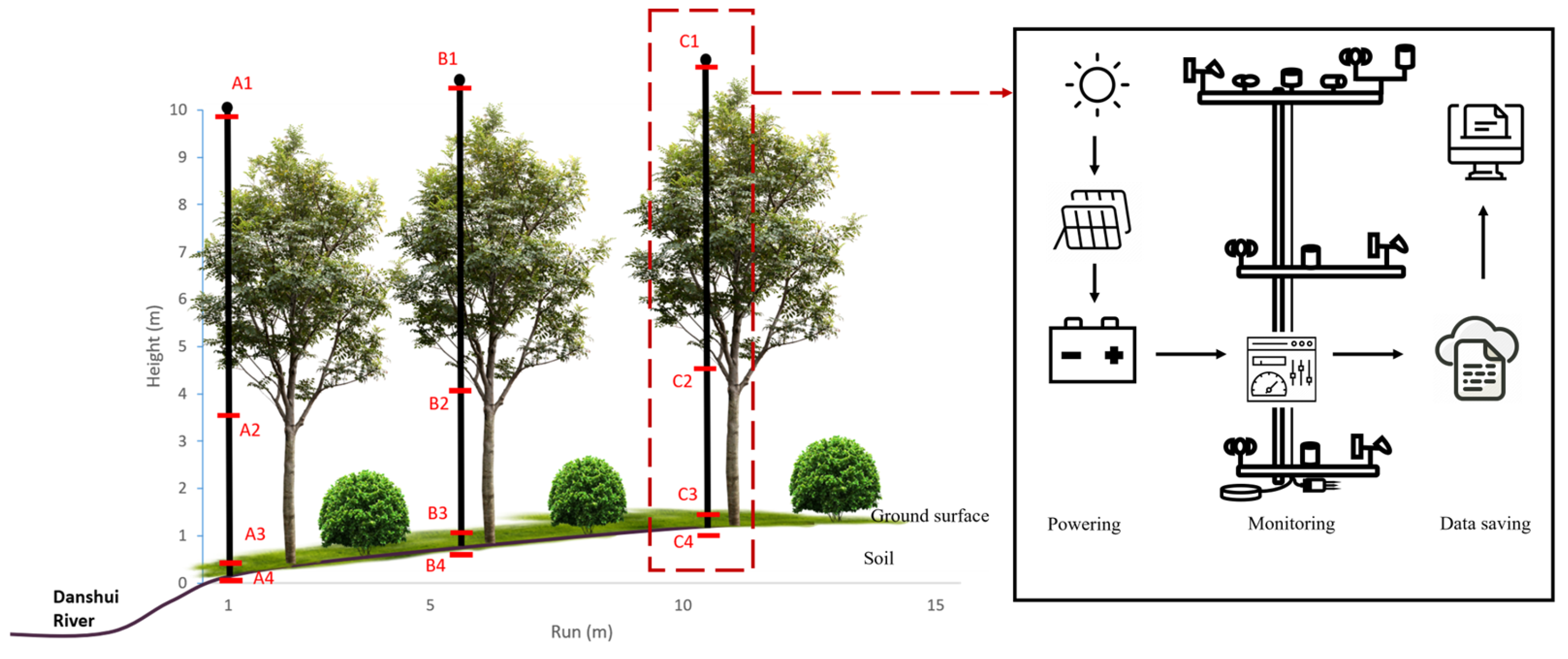 Forests 16 01466 g002 Forests 16 01466 g002
