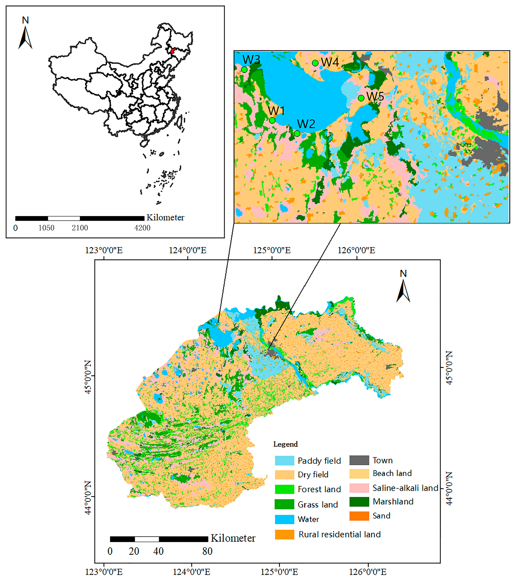 Forests 16 01468 g001 Forests 16 01468 g001