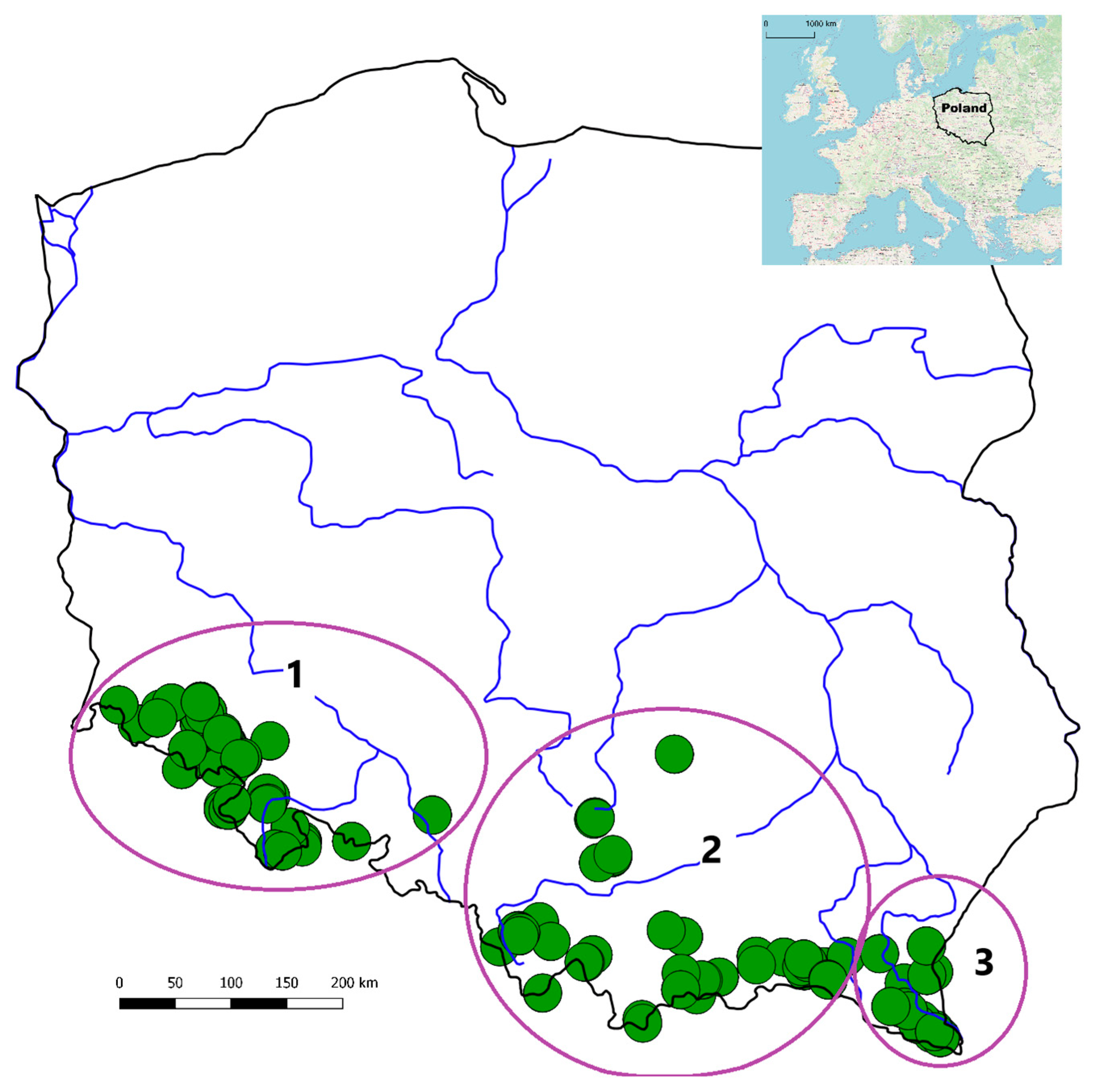Forests 16 01475 g001 Forests 16 01475 g001