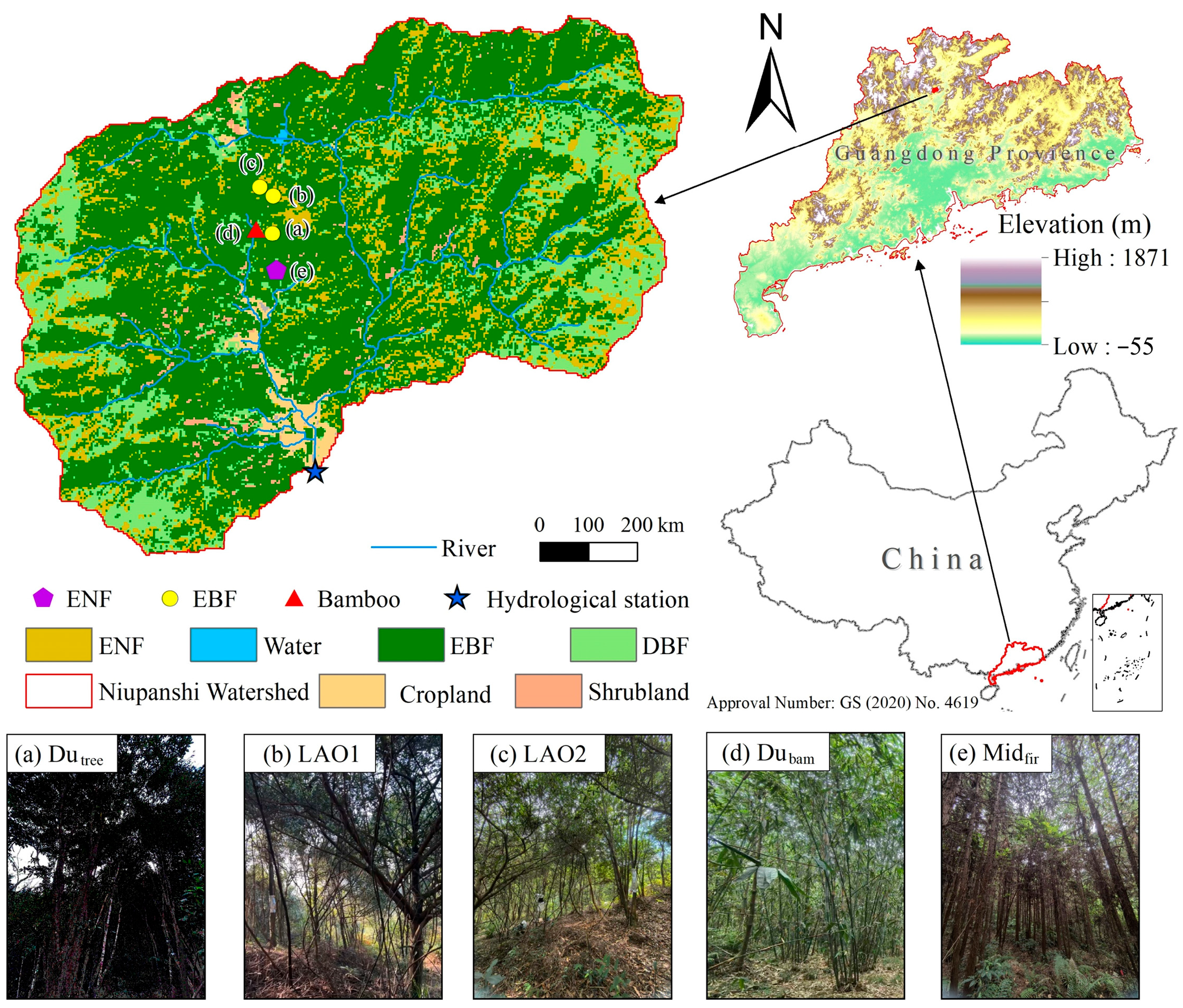 Forests 16 01480 g001