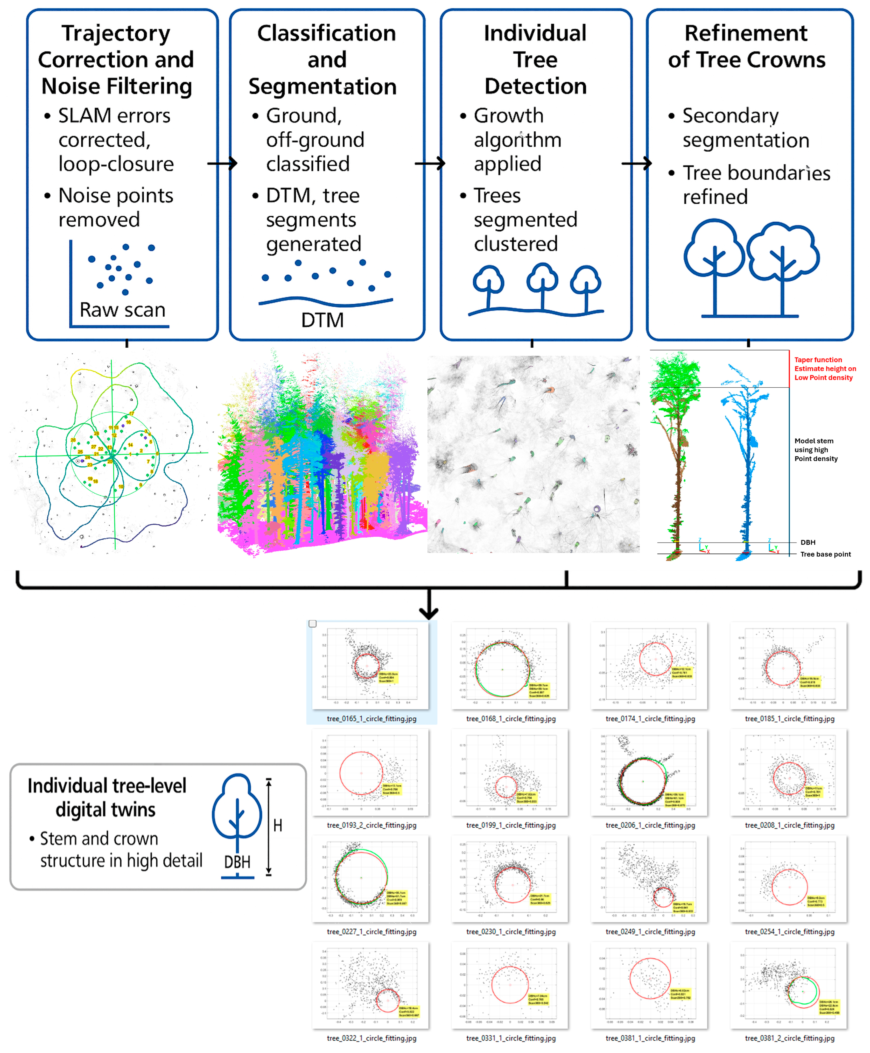 Forests 16 01481 g003