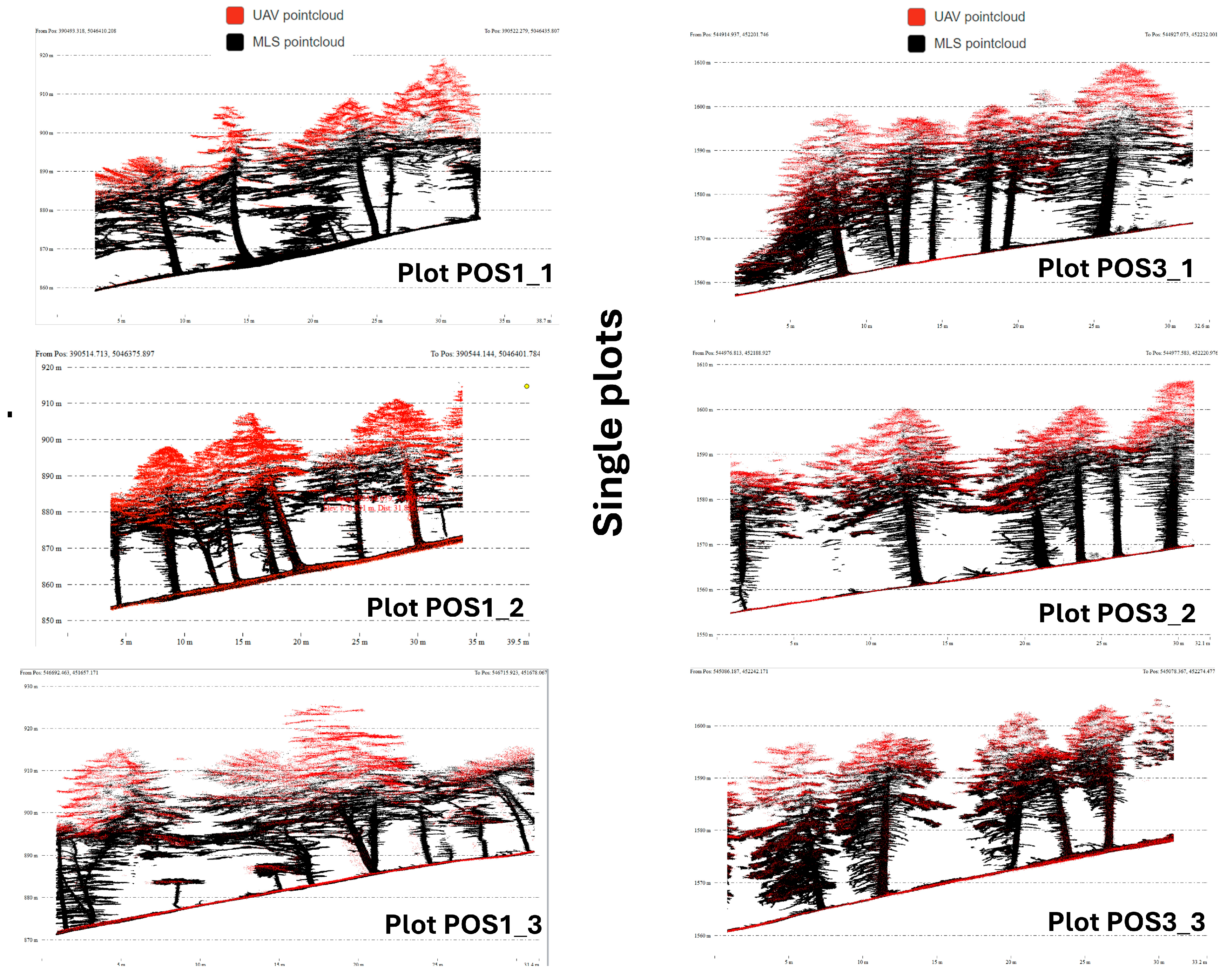 Forests 16 01481 g008