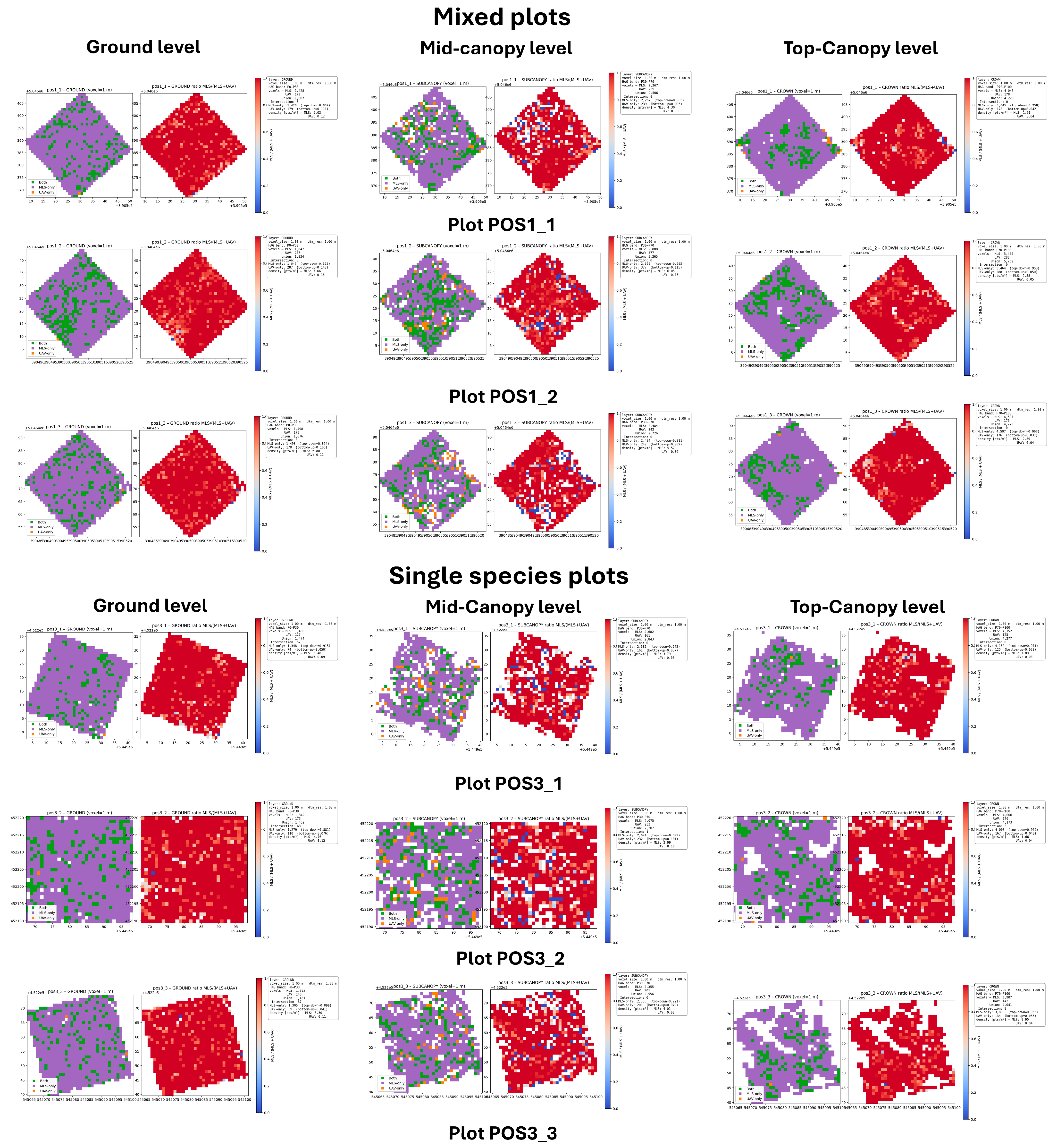 Forests 16 01481 g010