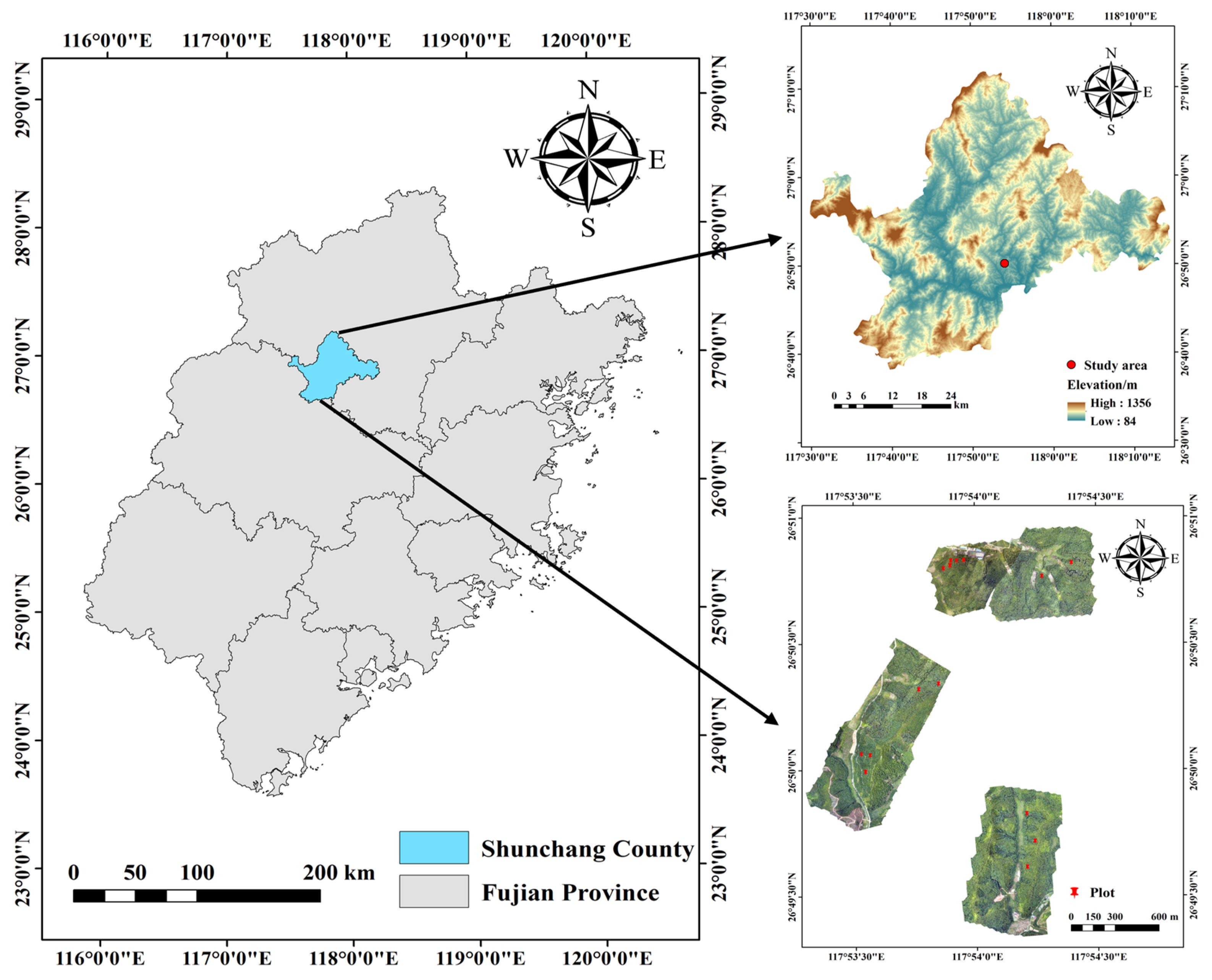Forests 16 01483 g001 Forests 16 01483 g001
