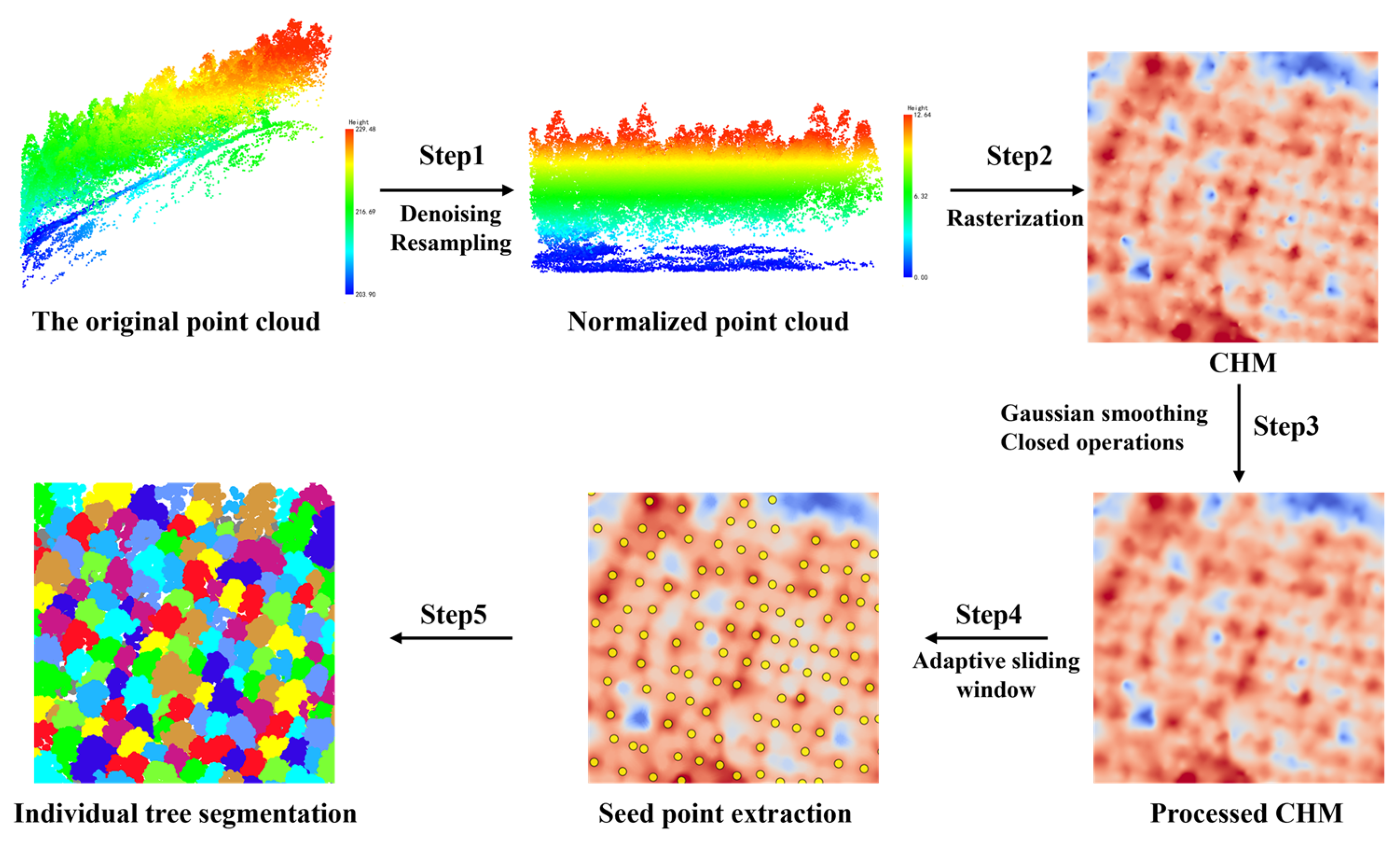 Forests 16 01483 g002 Forests 16 01483 g002