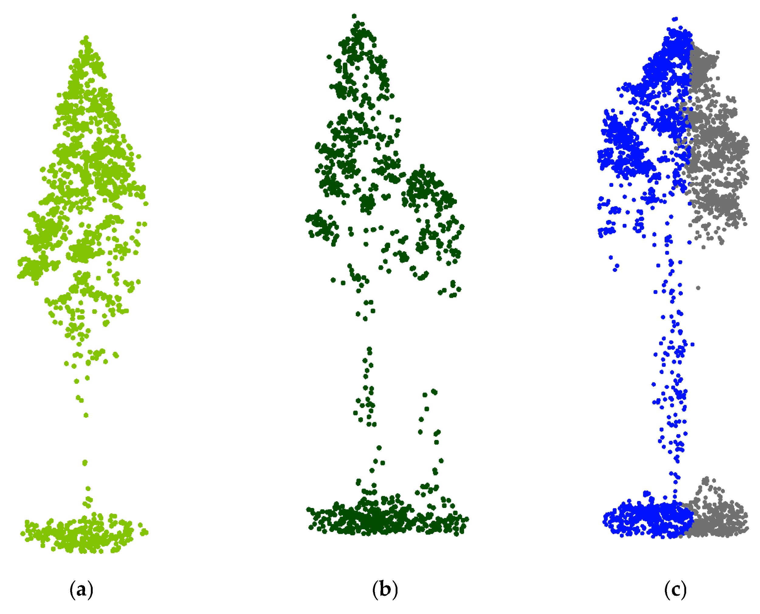 Forests 16 01483 g004 Forests 16 01483 g004