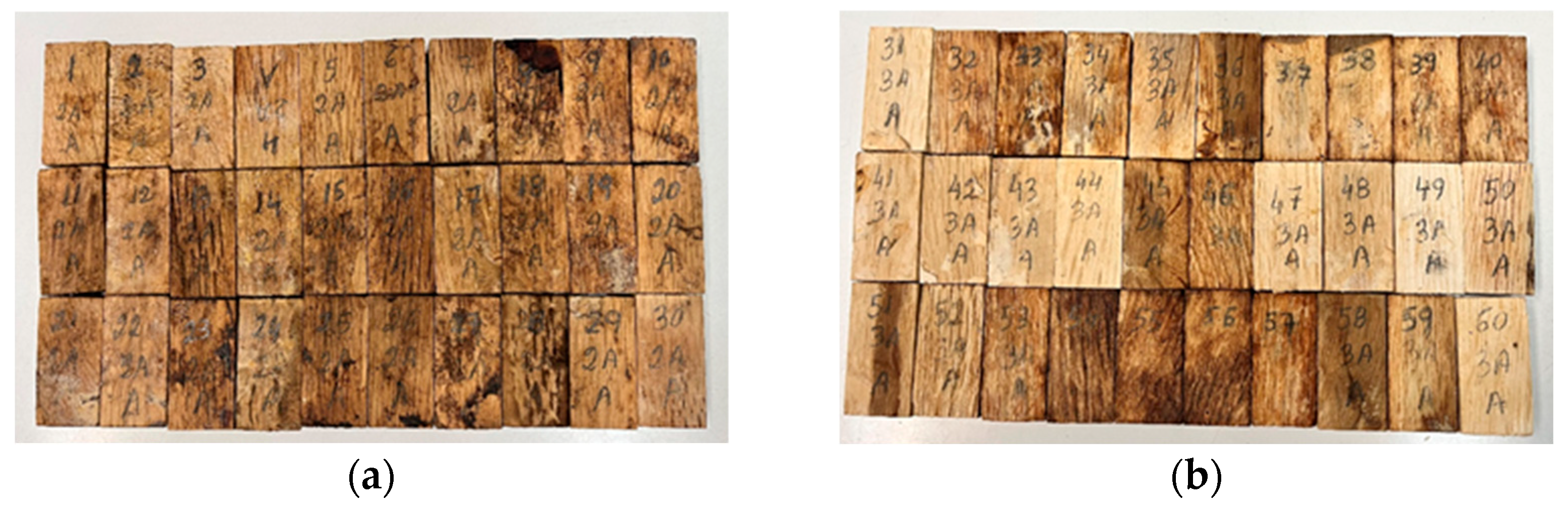 Forests 16 01486 g001