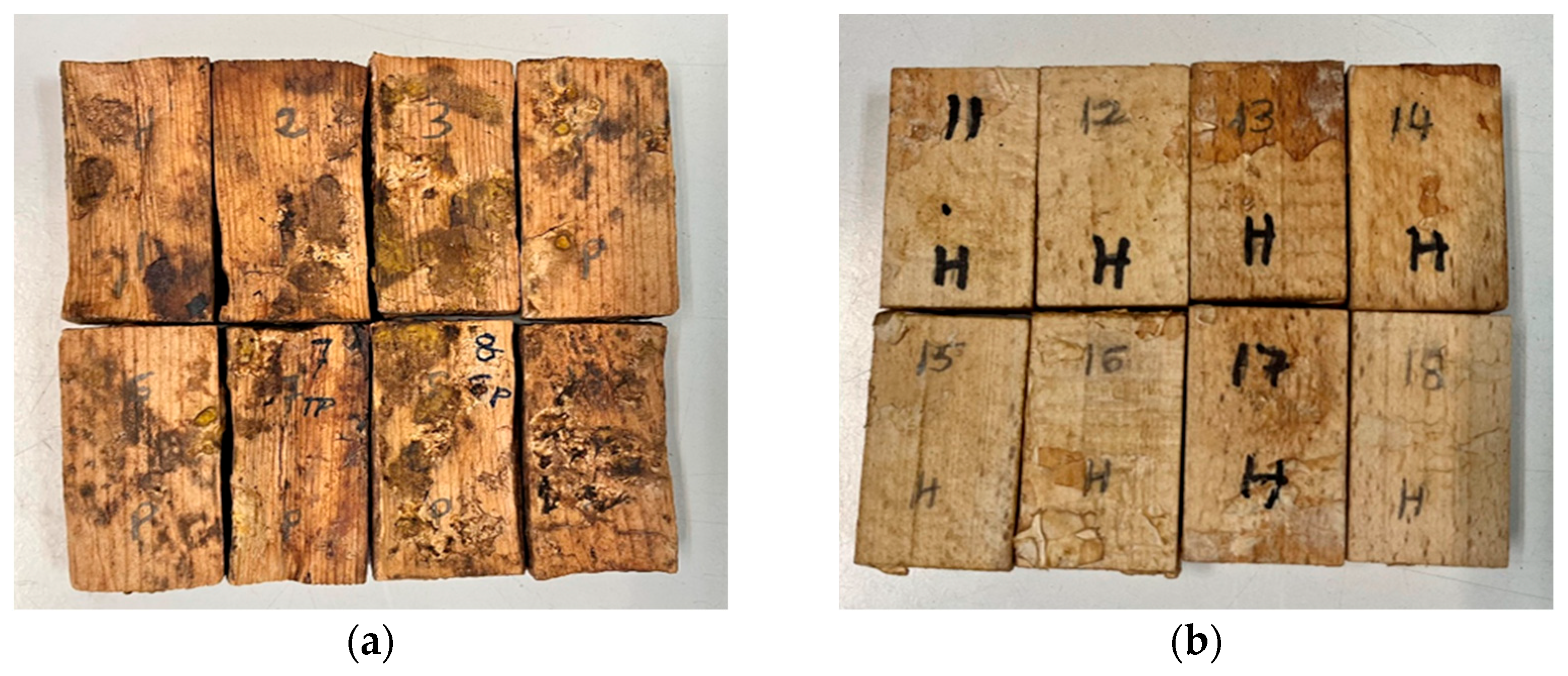 Forests 16 01486 g003