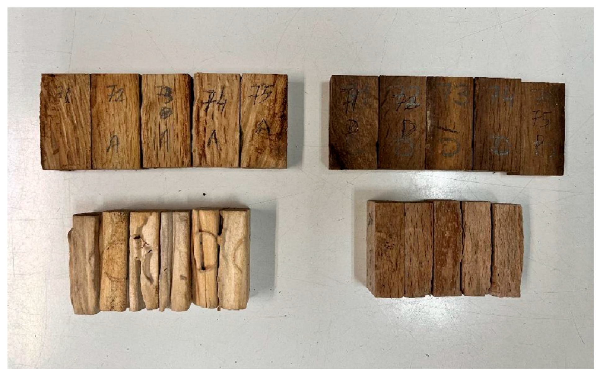 Forests 16 01486 g004