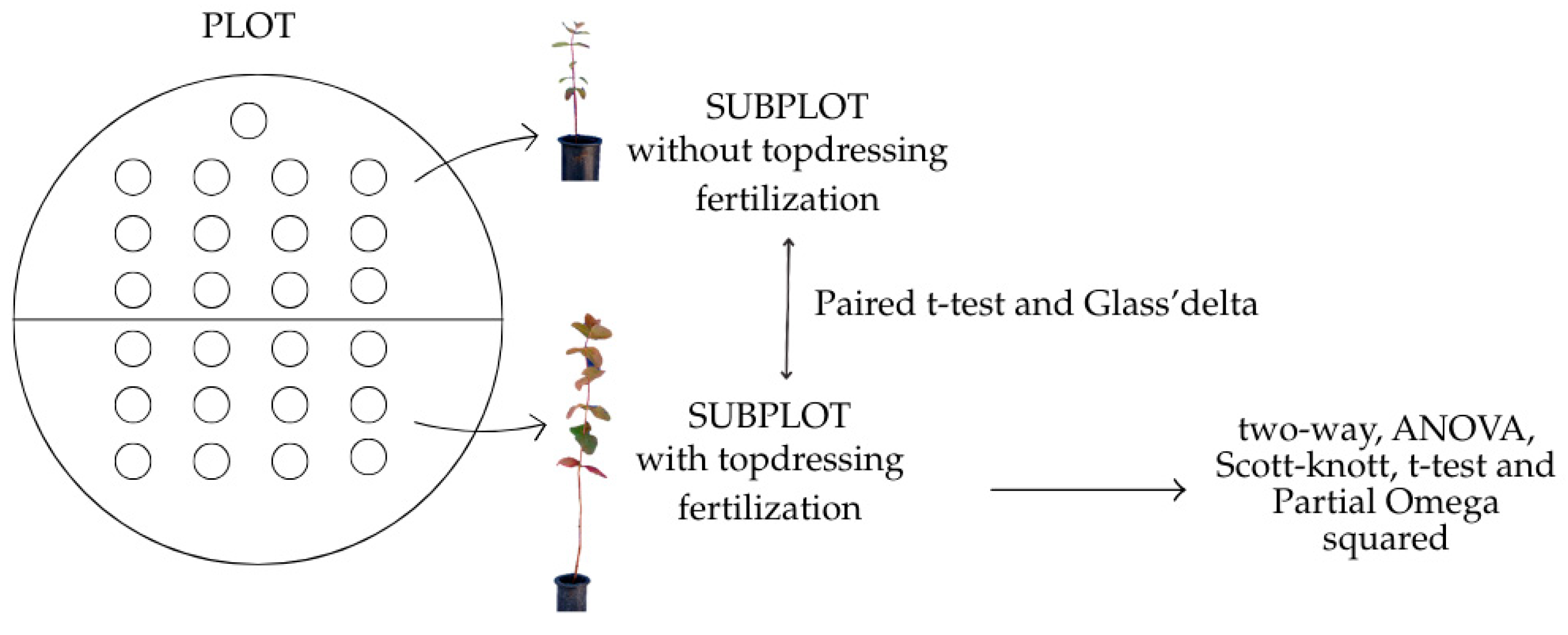 Forests 16 01489 g001