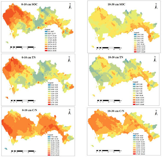 Spatial Partitioning and Driving Factors of Soil Carbon and