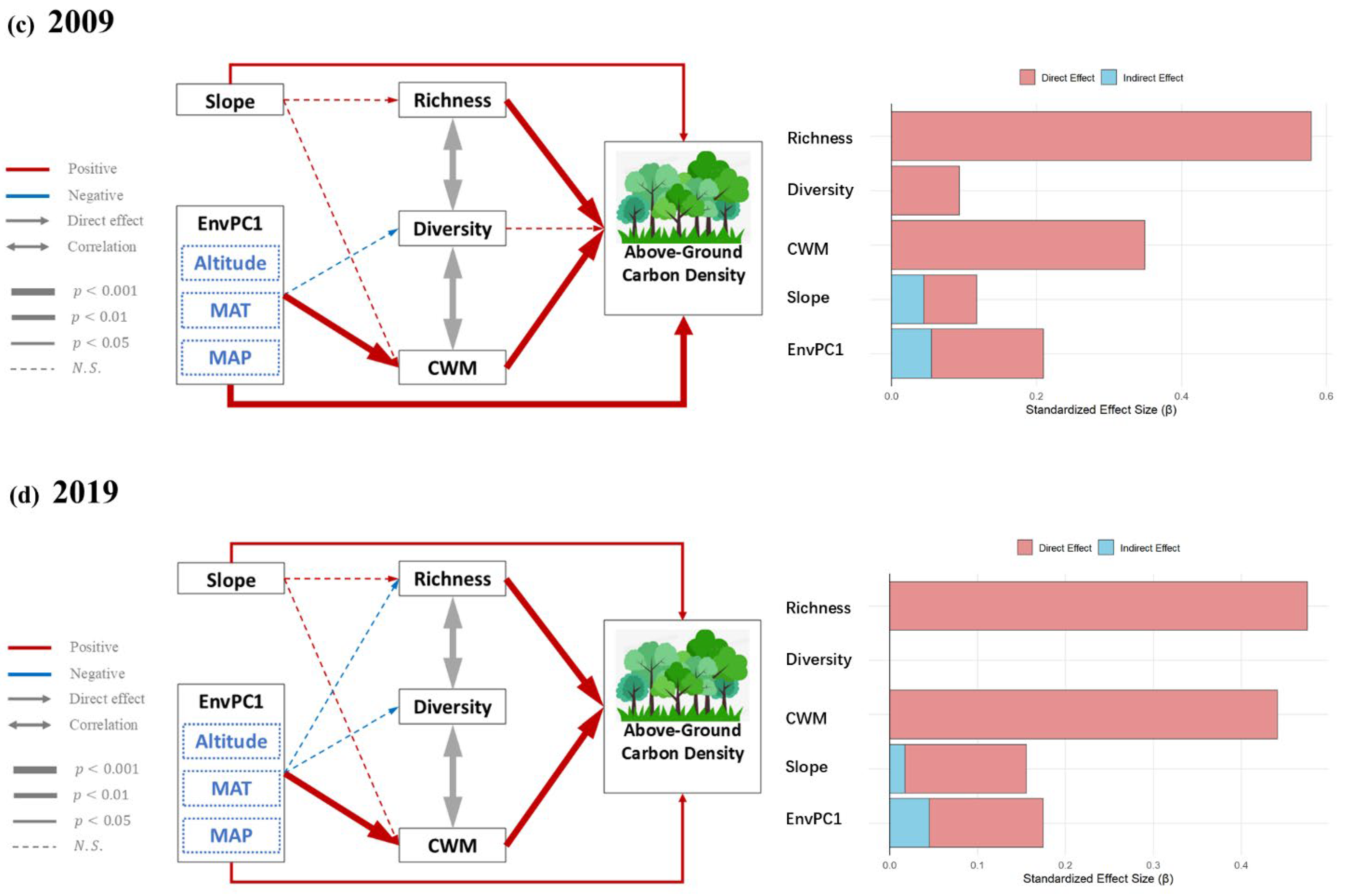 Forests 16 01496 g007b