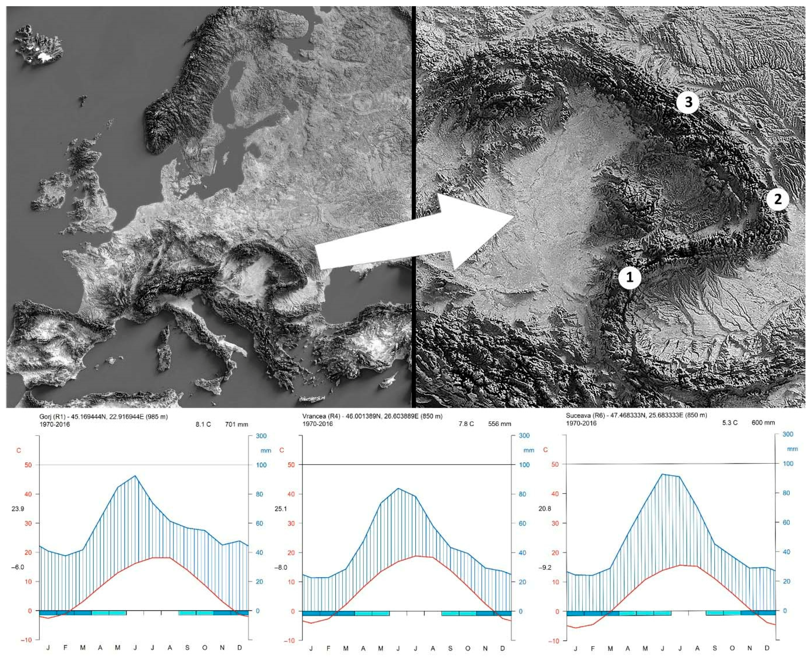 Forests 16 01497 g001