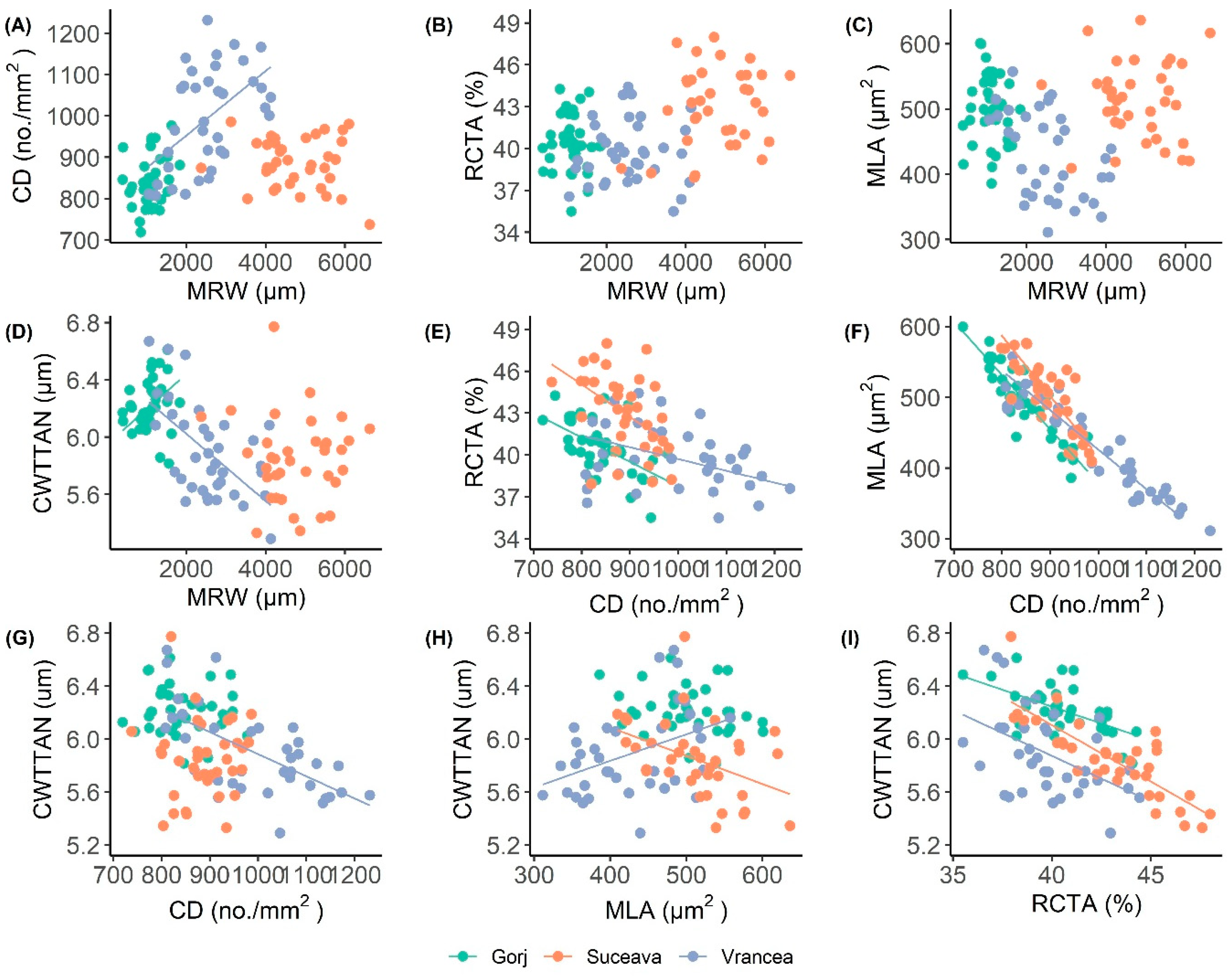 Forests 16 01497 g005