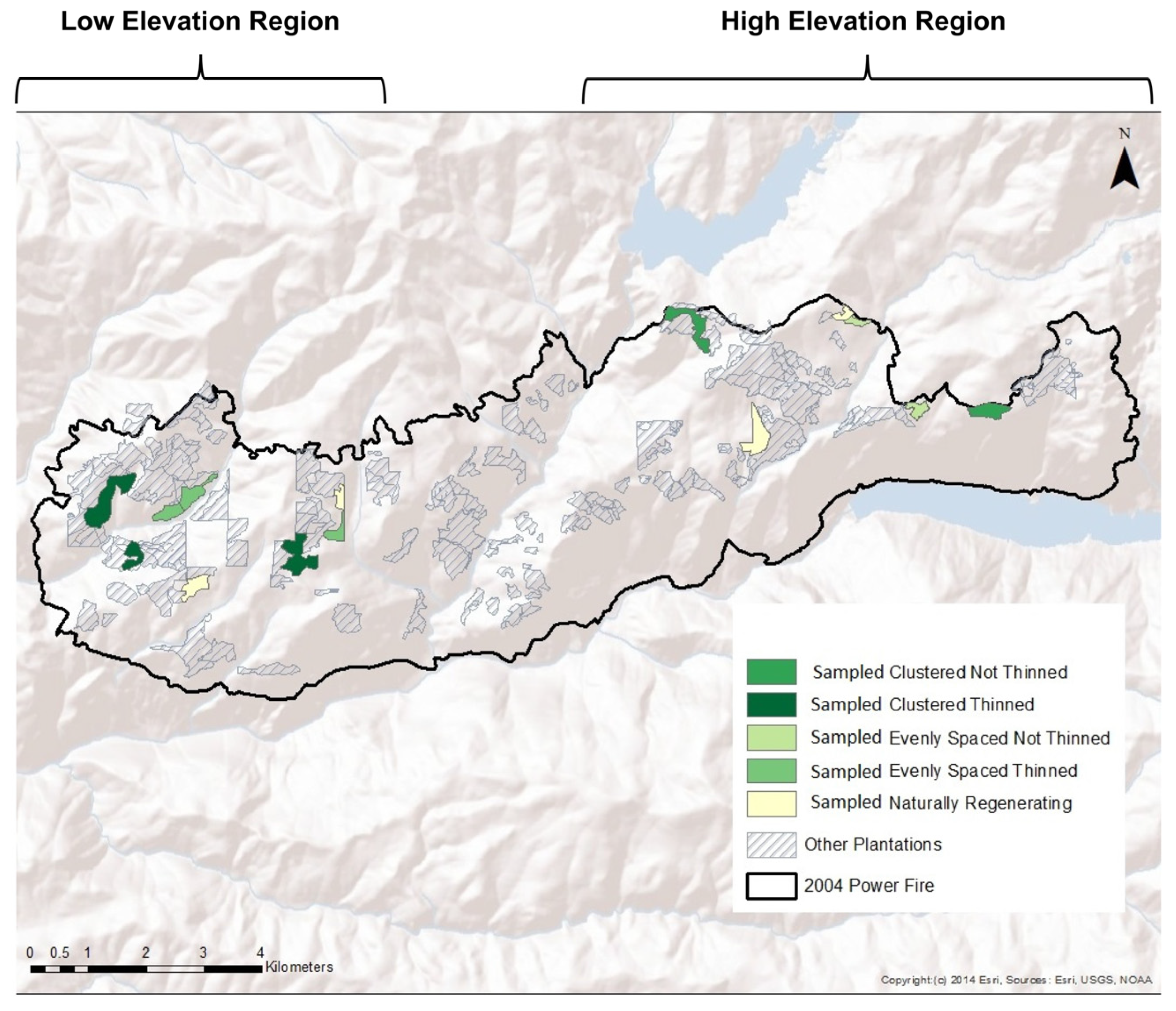 Forests 16 01506 g002