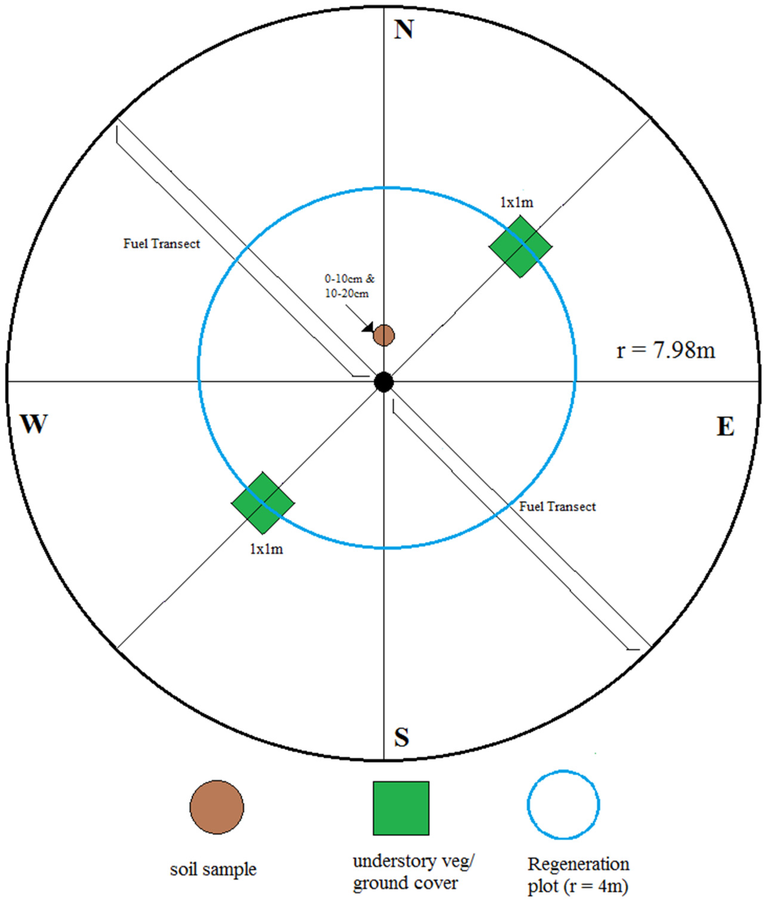 Forests 16 01506 g003