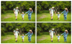 Forests 16 01507 i009