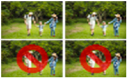 Forests 16 01507 i011