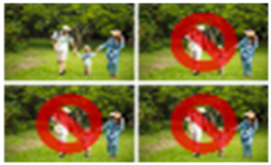 Forests 16 01507 i012